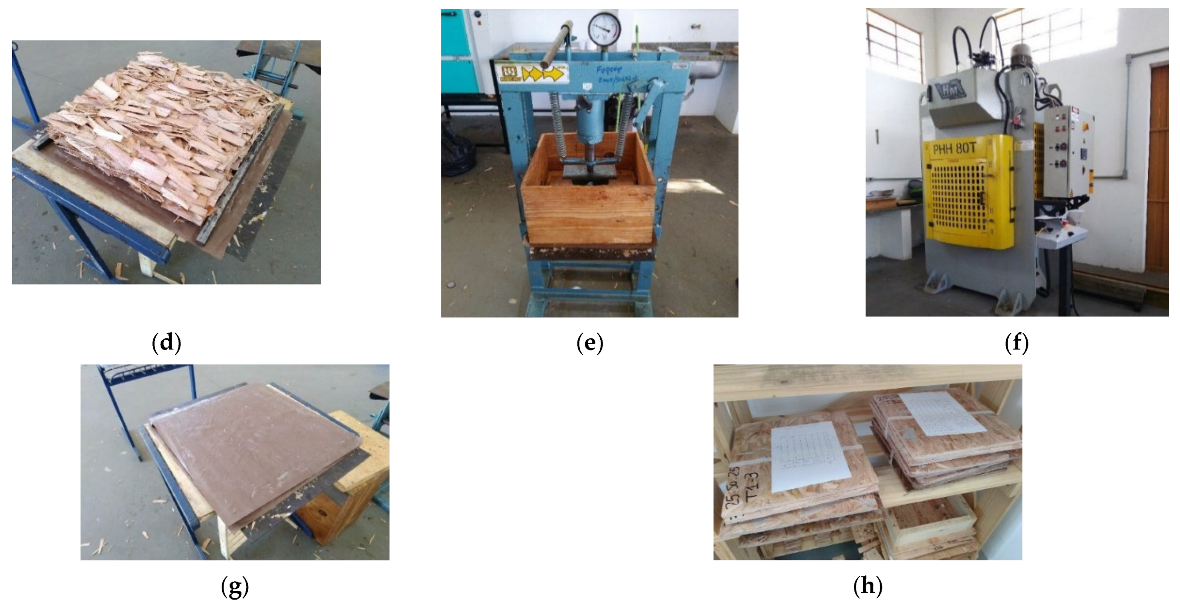 Forests 13 02083 g002b