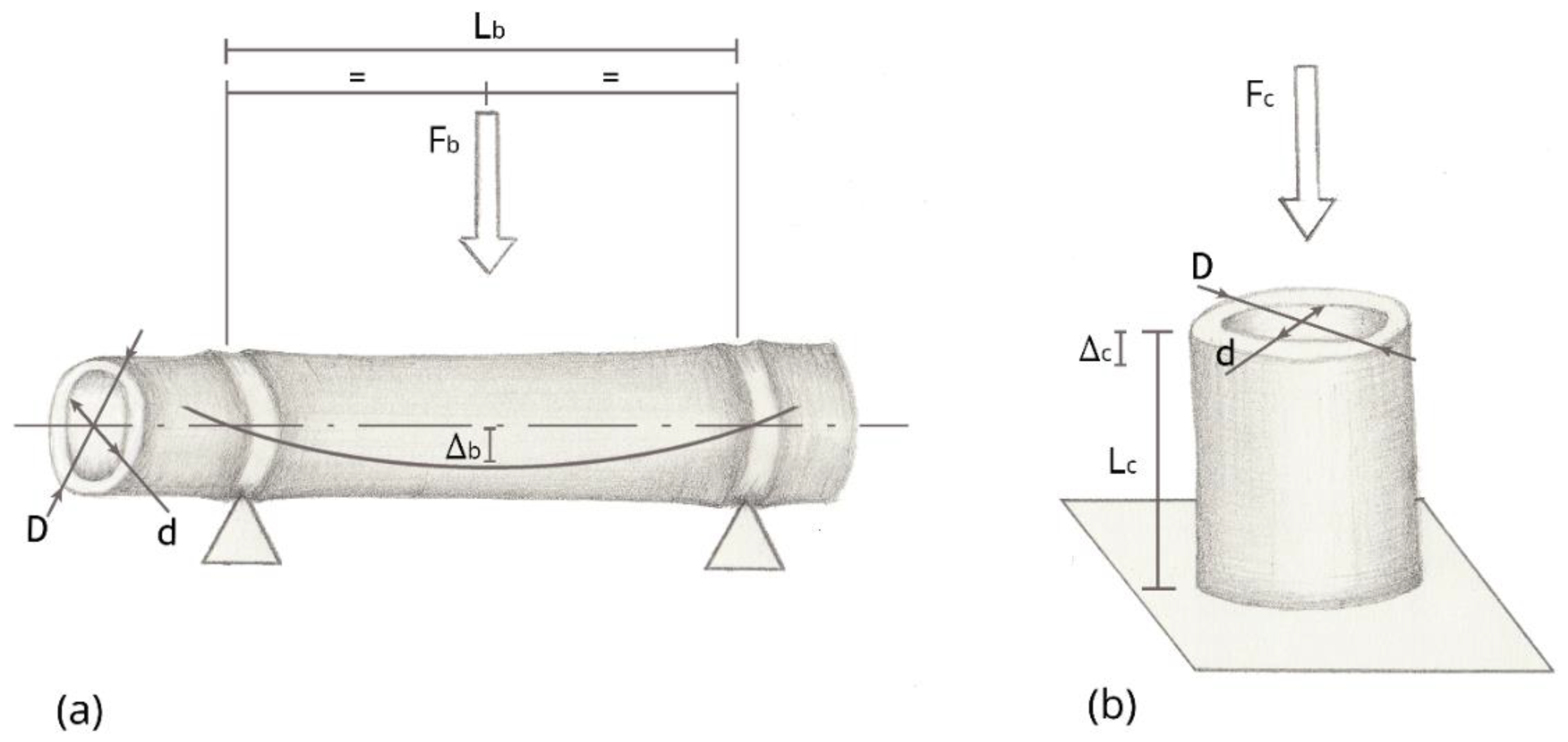Forests 13 02084 g003