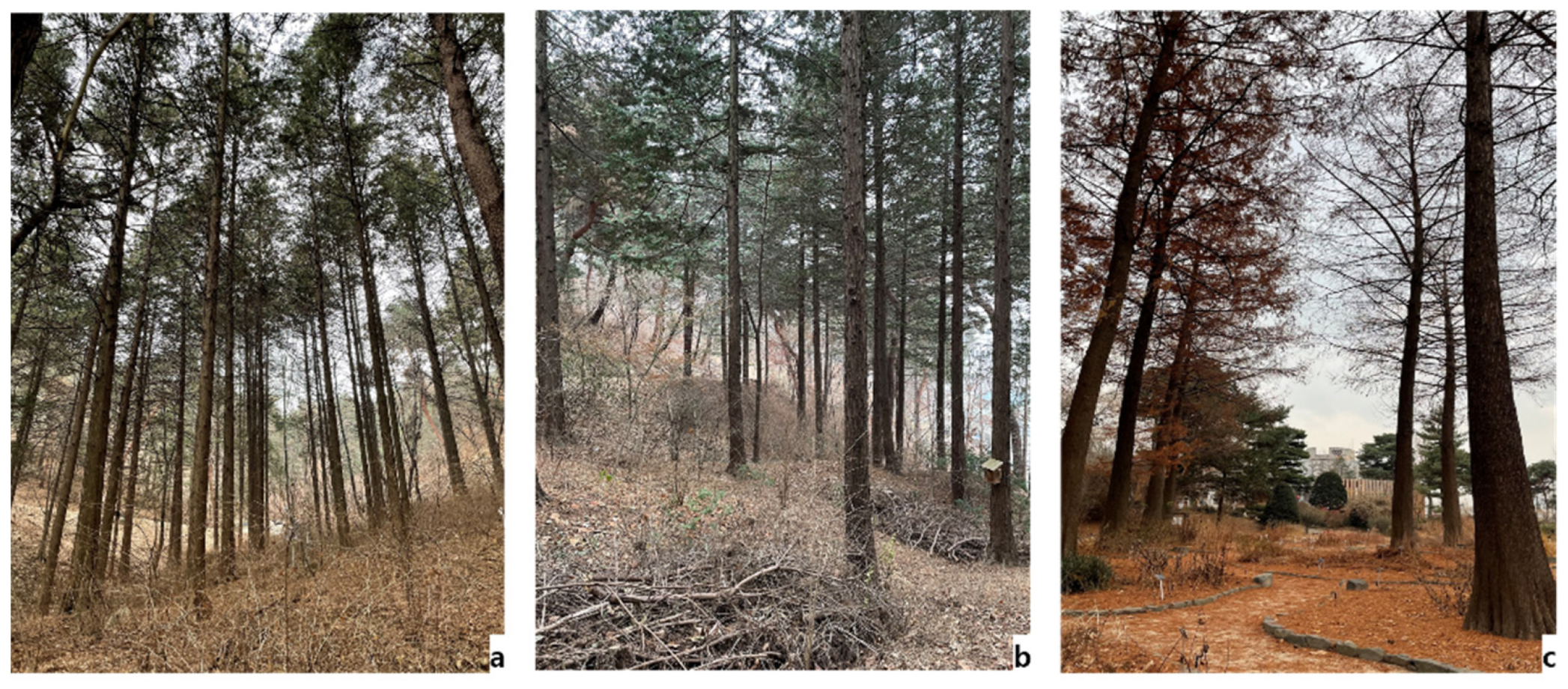 Forests 13 02087 g001