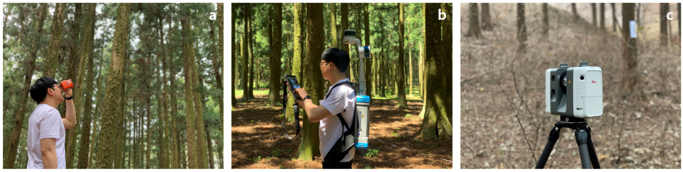 Forests 13 02087 g002