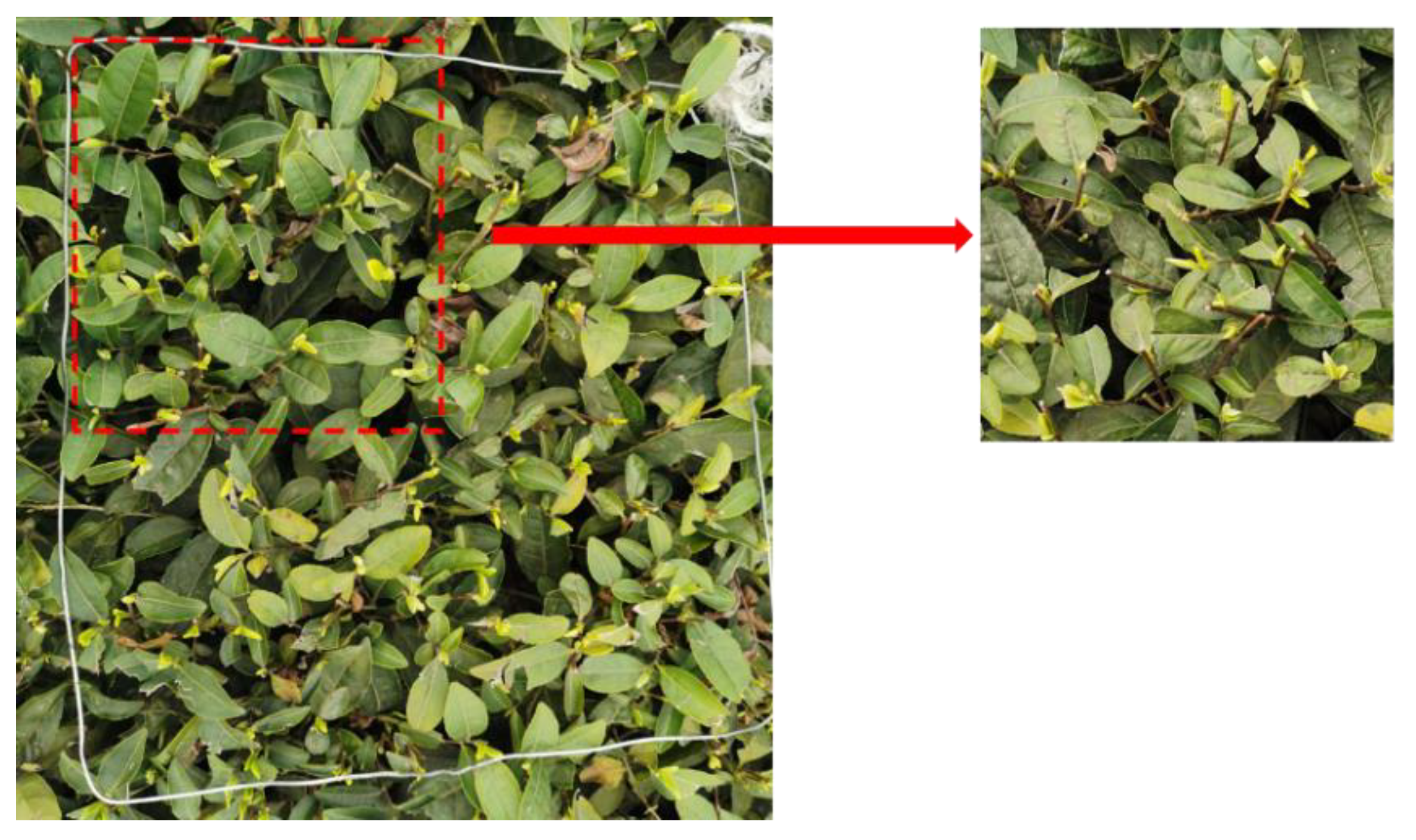 Forests 13 02091 g004