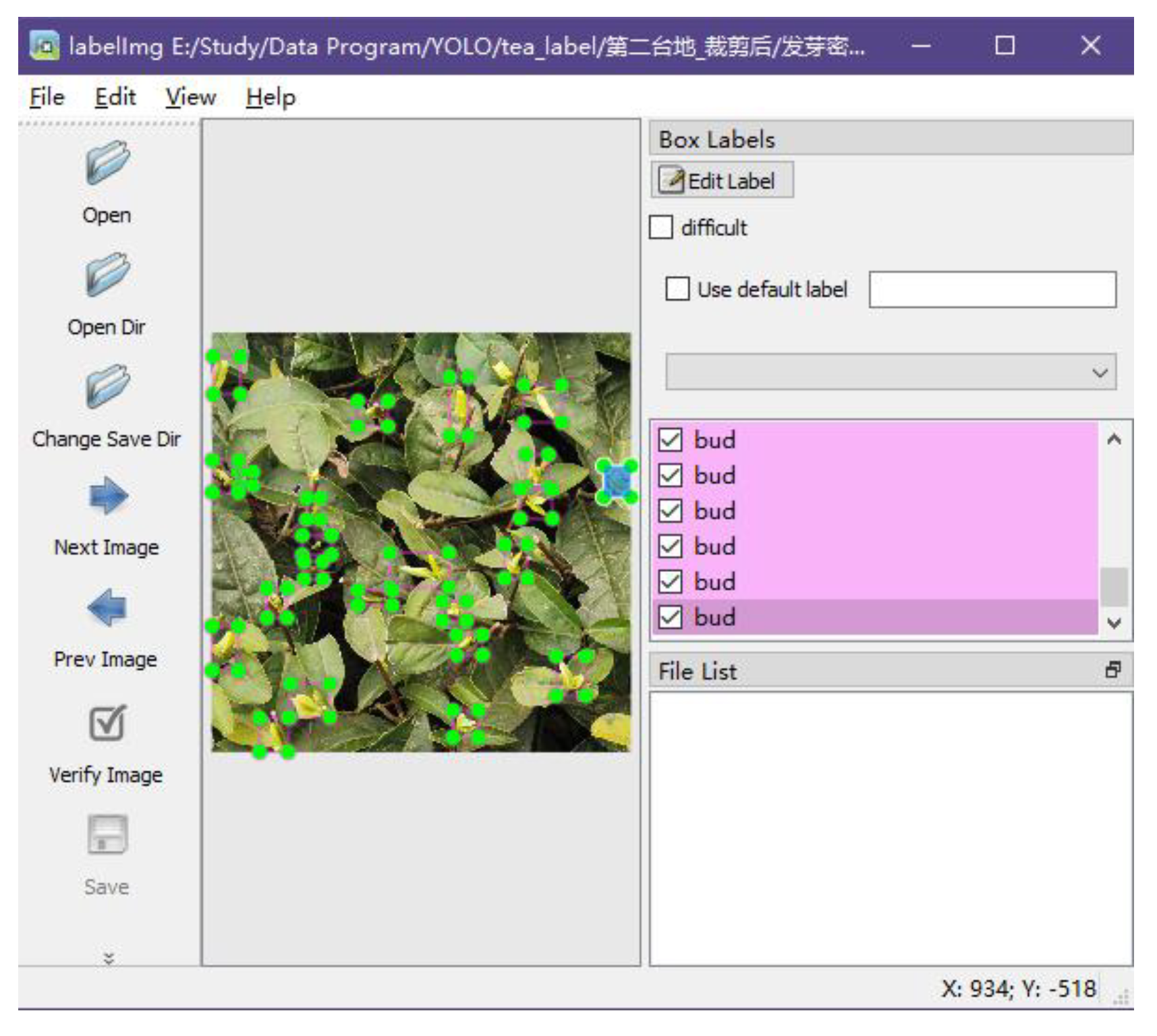 Forests 13 02091 g005