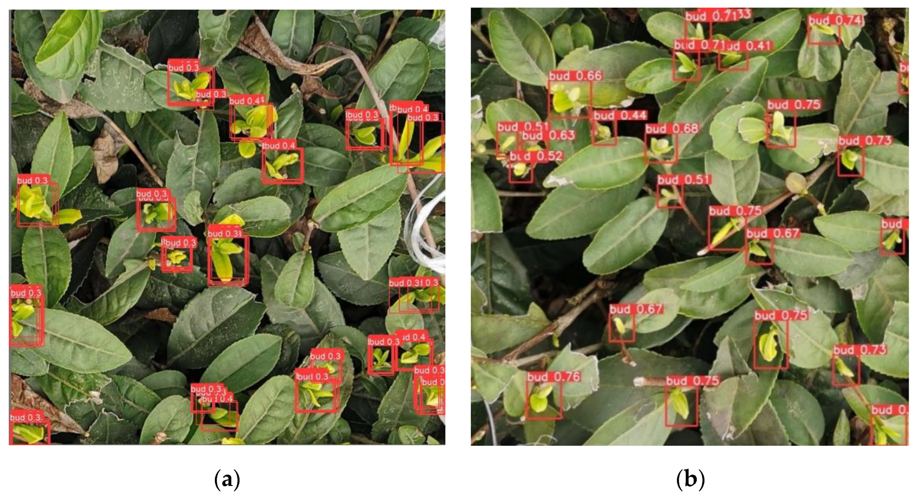 Forests 13 02091 g015