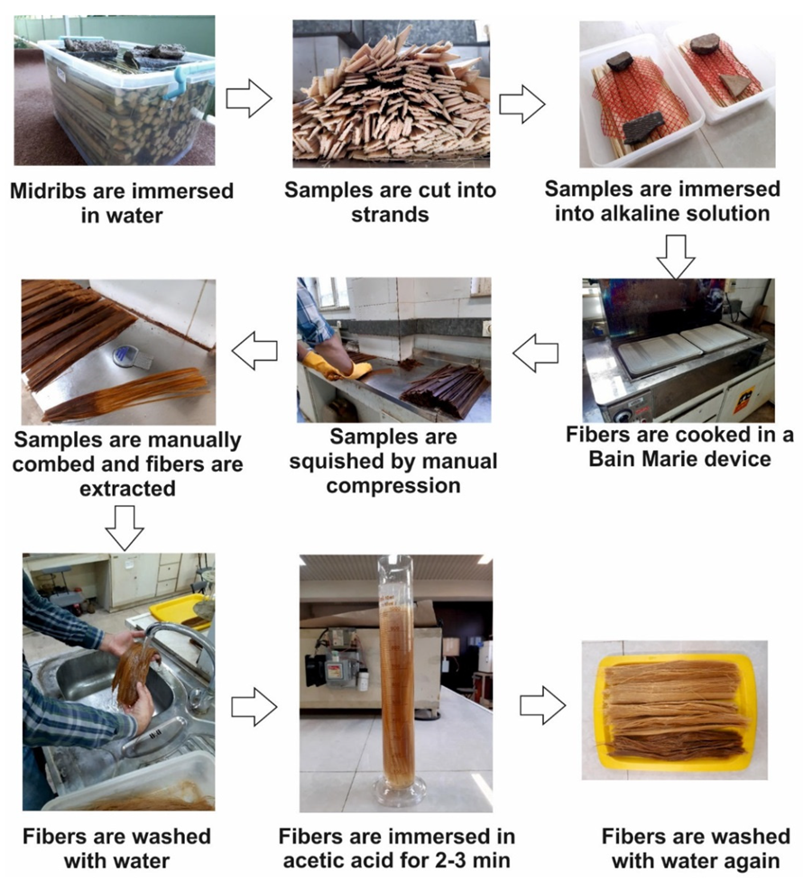 Forests 13 02098 g001