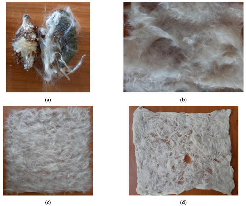 Forests 13 02098 g002