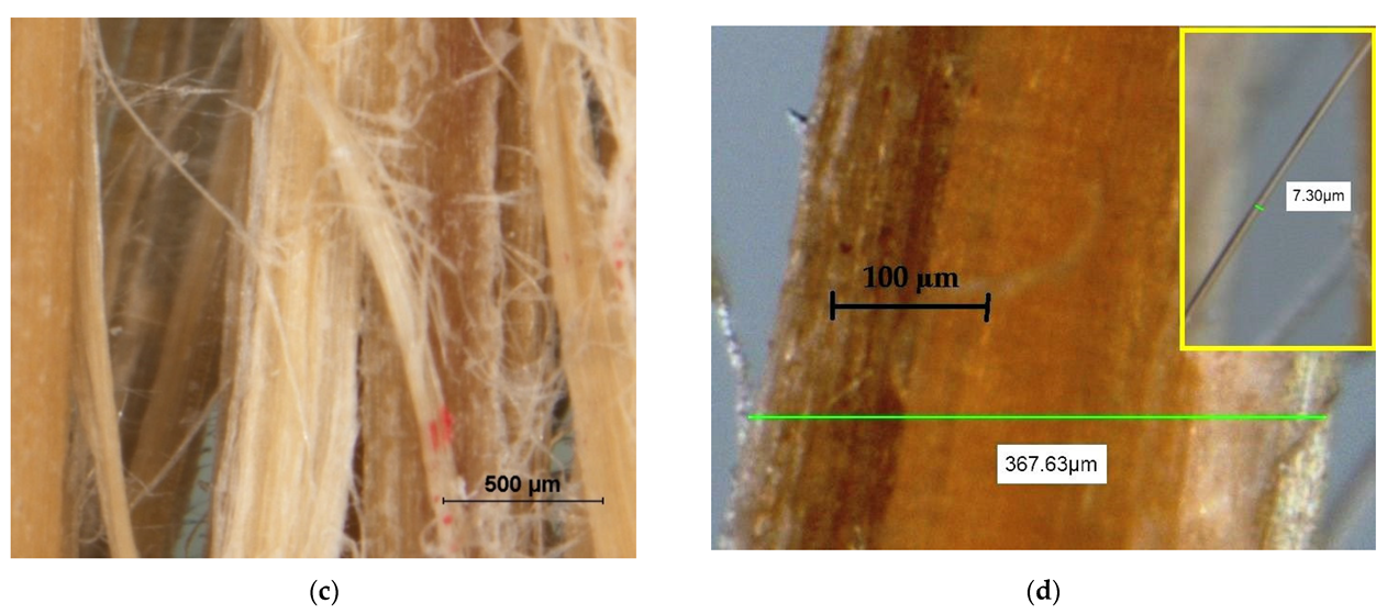 Forests 13 02098 g005b