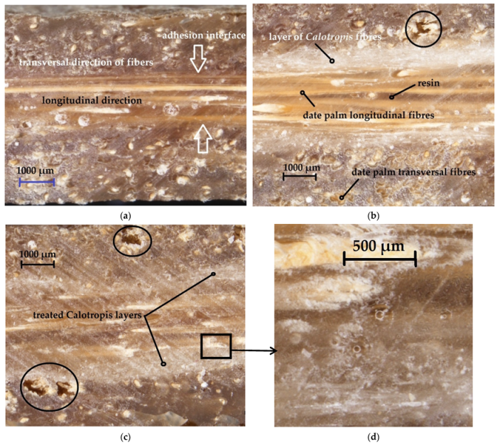 Forests 13 02098 g006