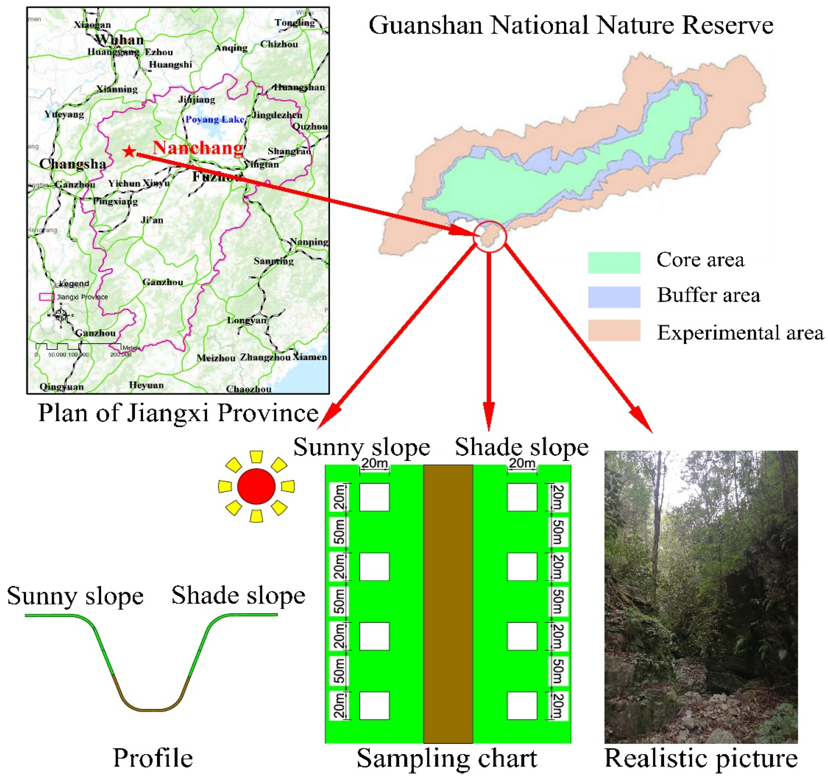 Forests 13 02100 g001 Forests 13 02100 g001