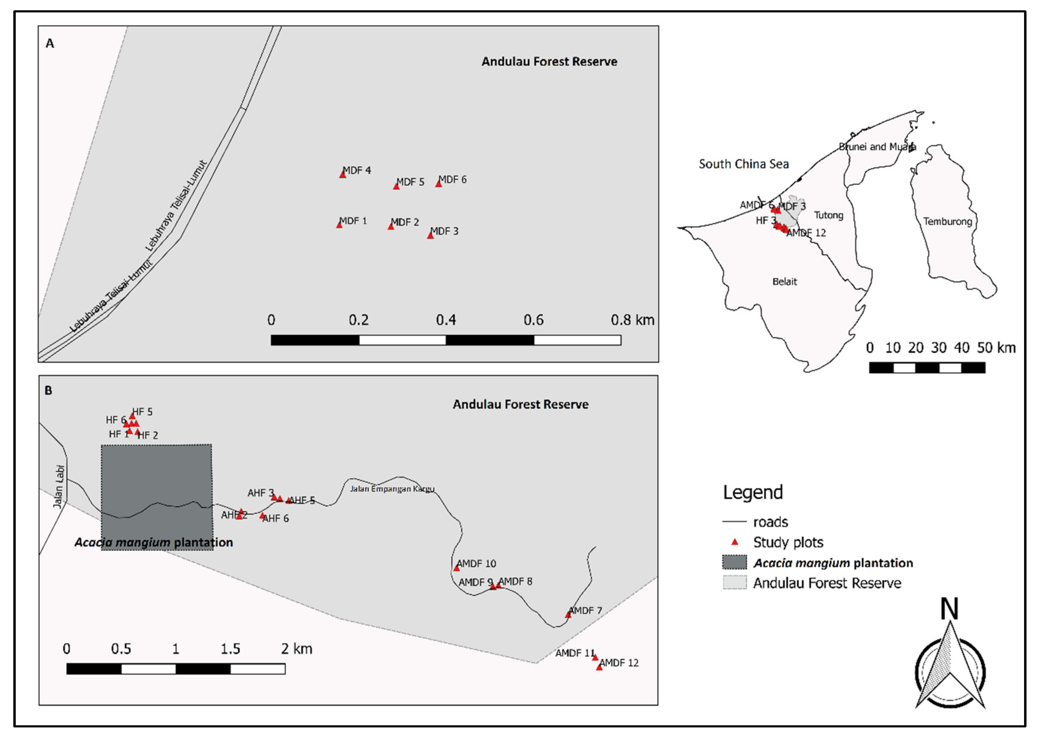 Forests 13 02101 g001