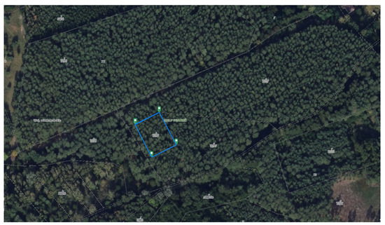 Forests 13 02103 g0a2