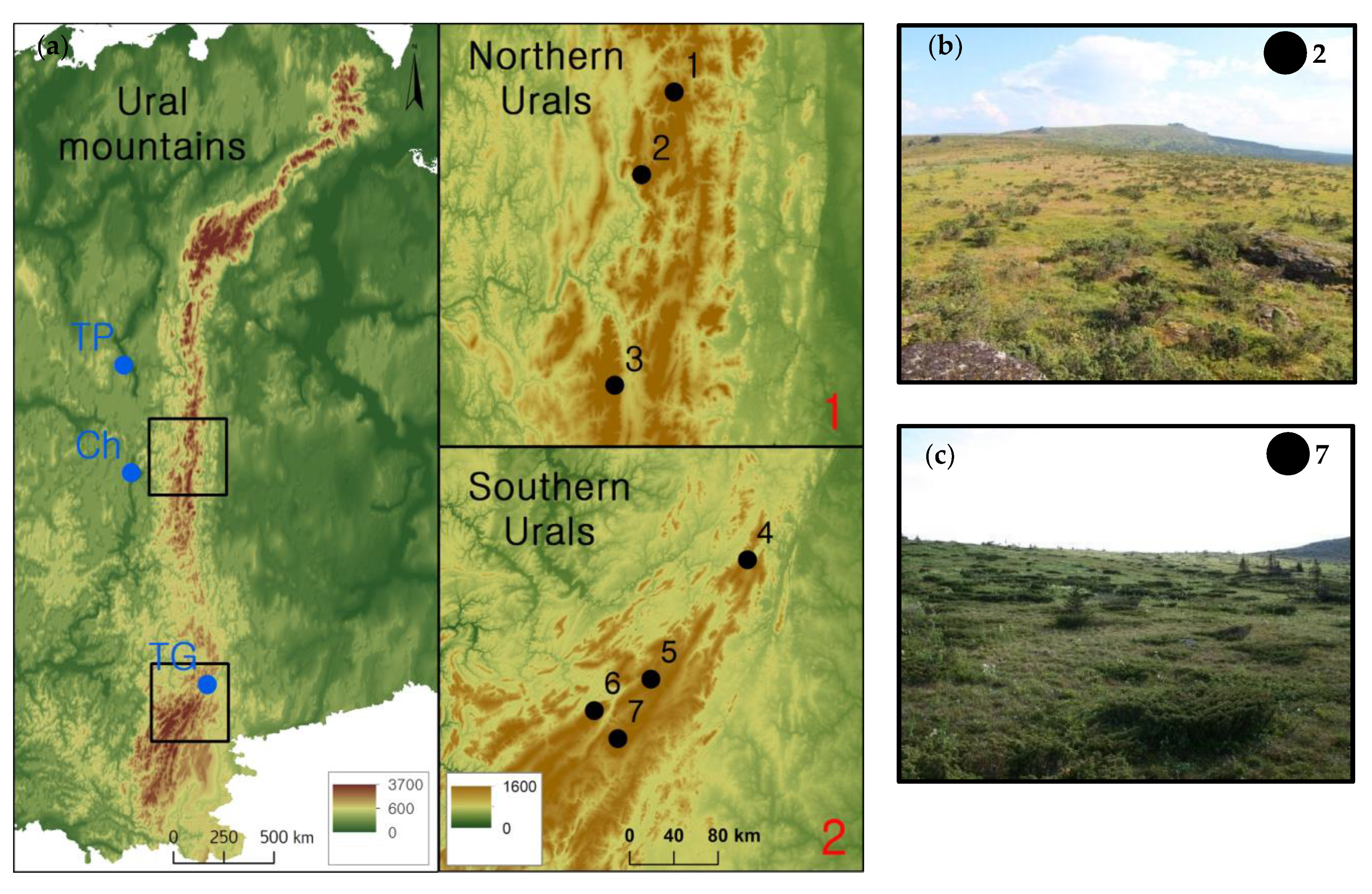 Forests 13 02106 g001