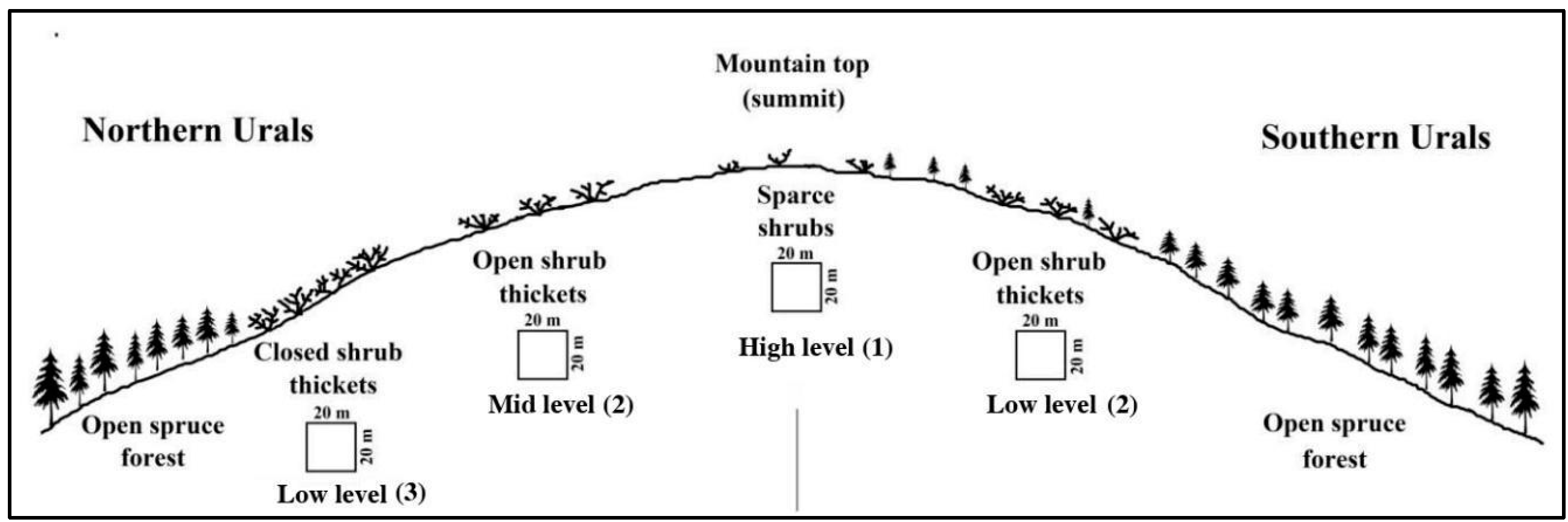 Forests 13 02106 g003