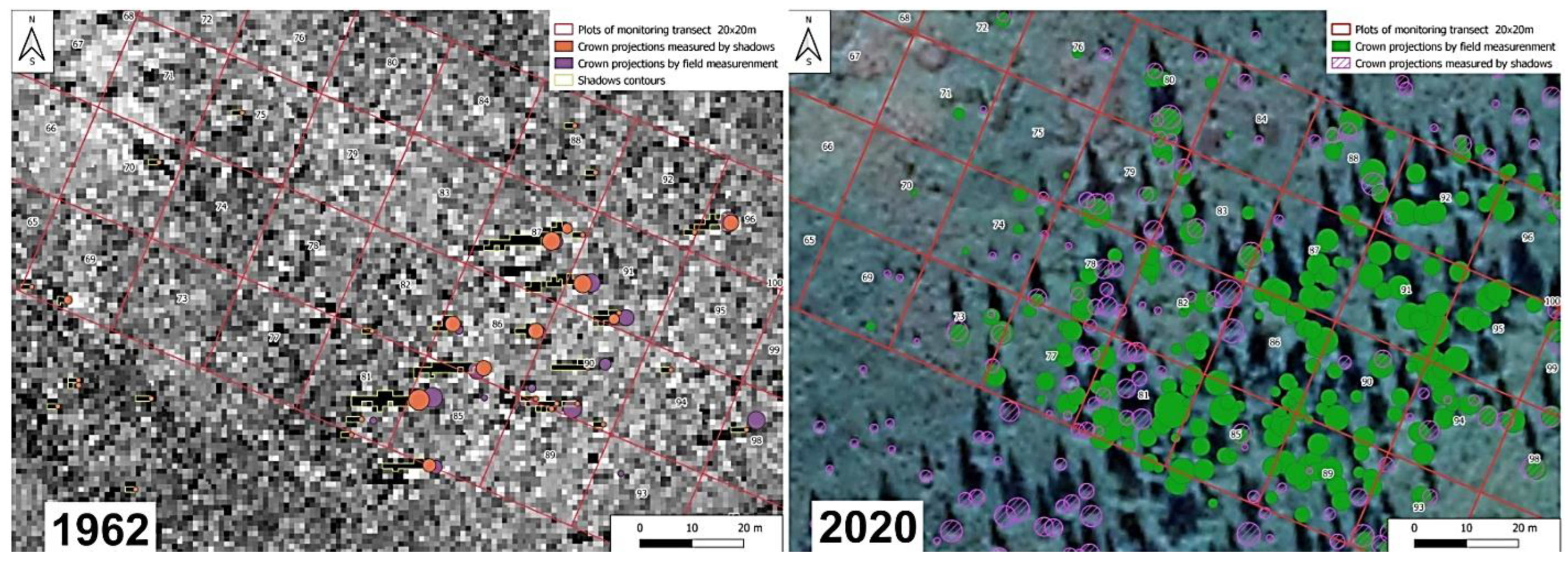 Forests 13 02107 g003