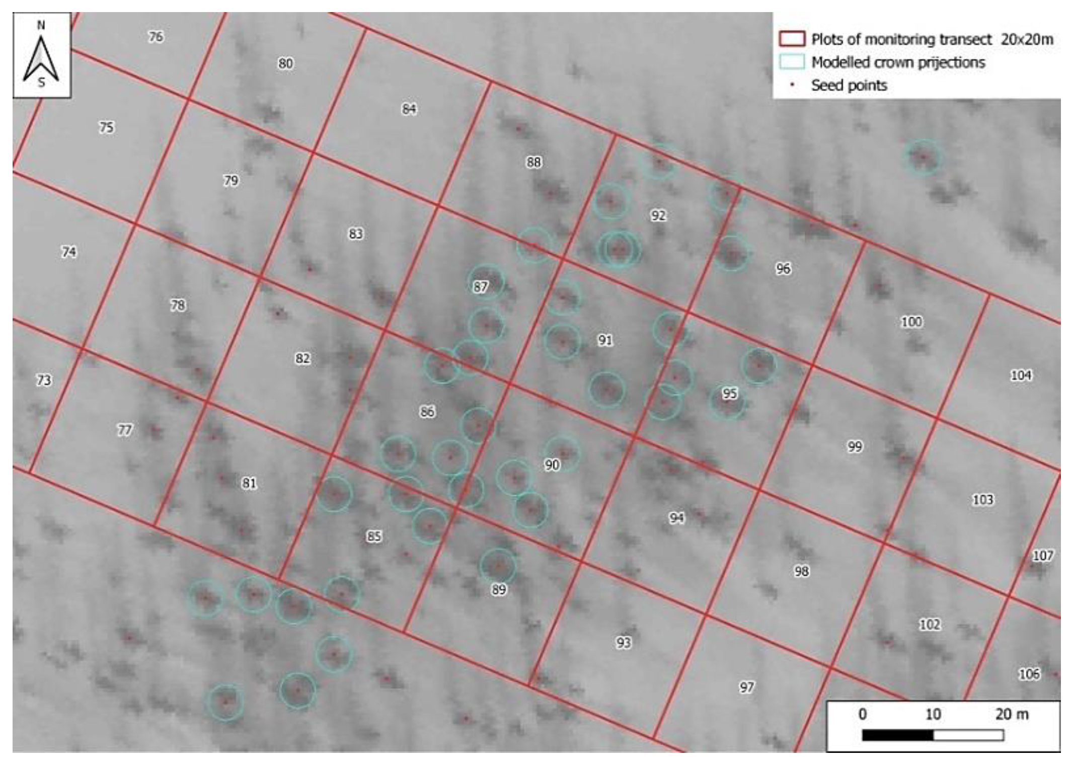 Forests 13 02107 g004