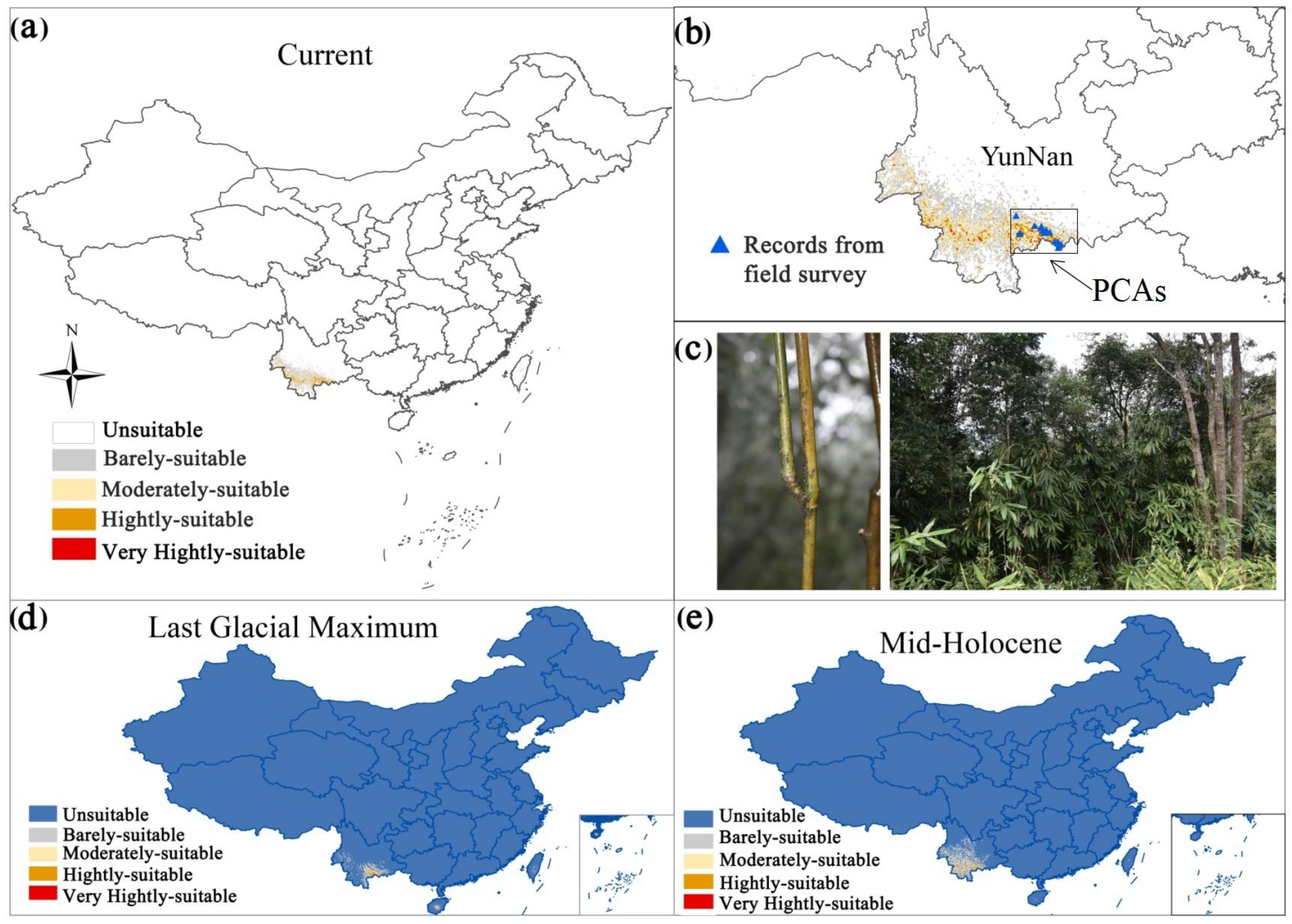 Forests 13 02108 g001