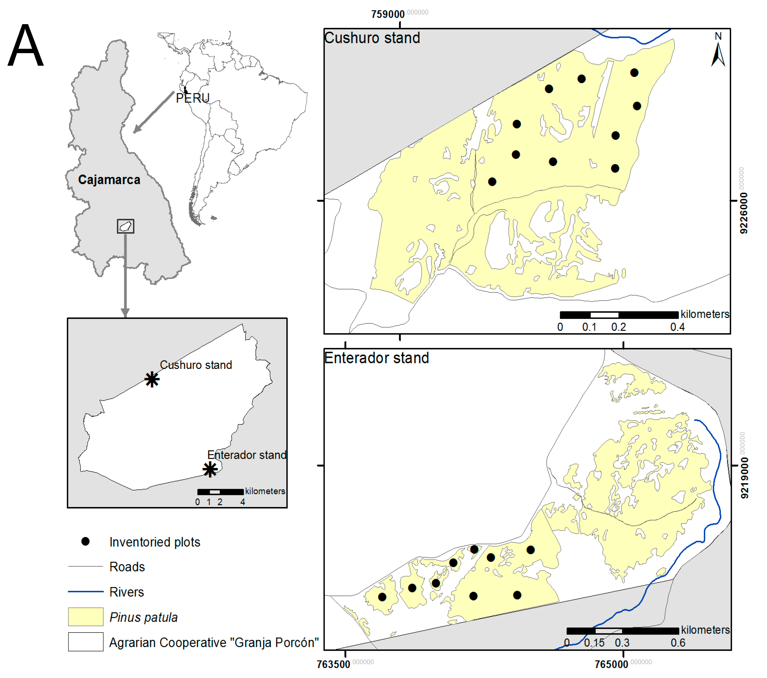 Forests 13 02109 g001a
