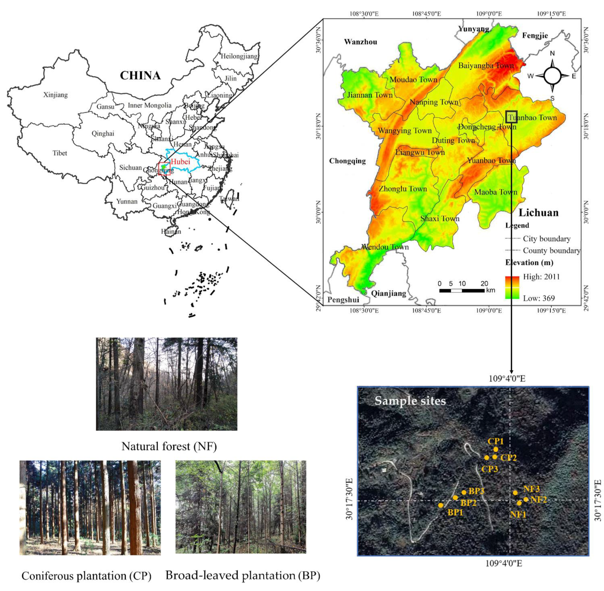 Forests 13 02110 g001 Forests 13 02110 g001
