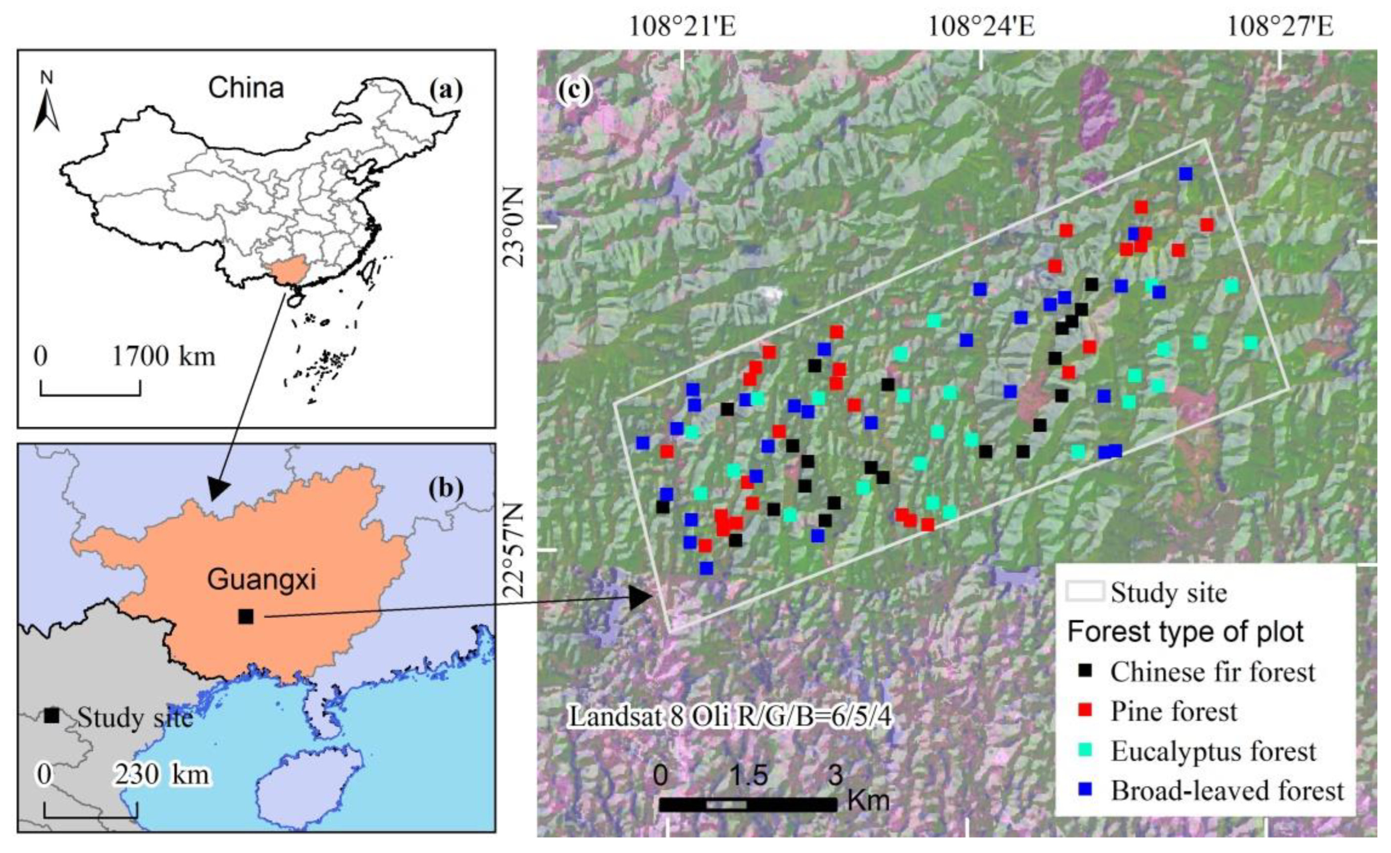 Forests 13 02124 g001