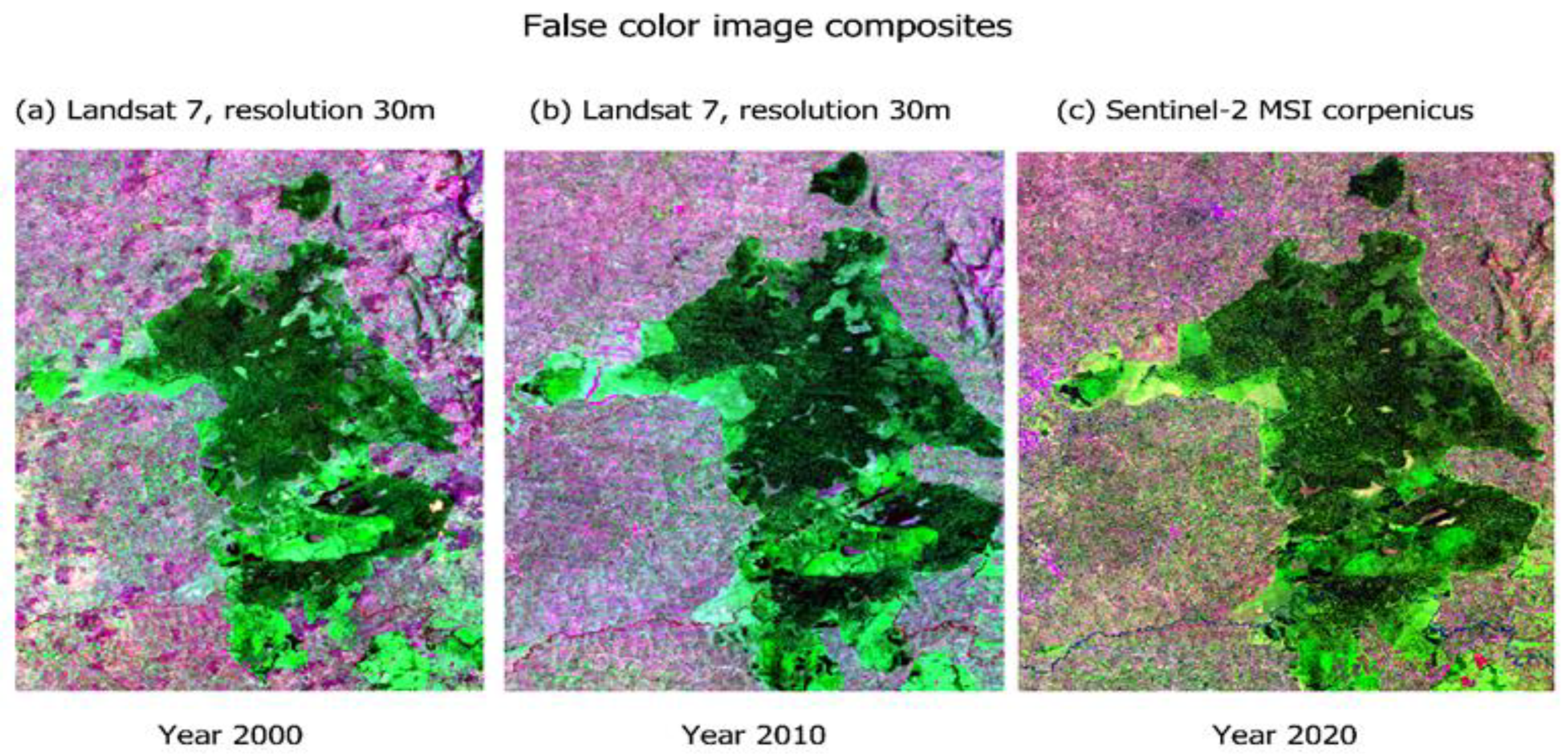 Forests 13 02127 g002