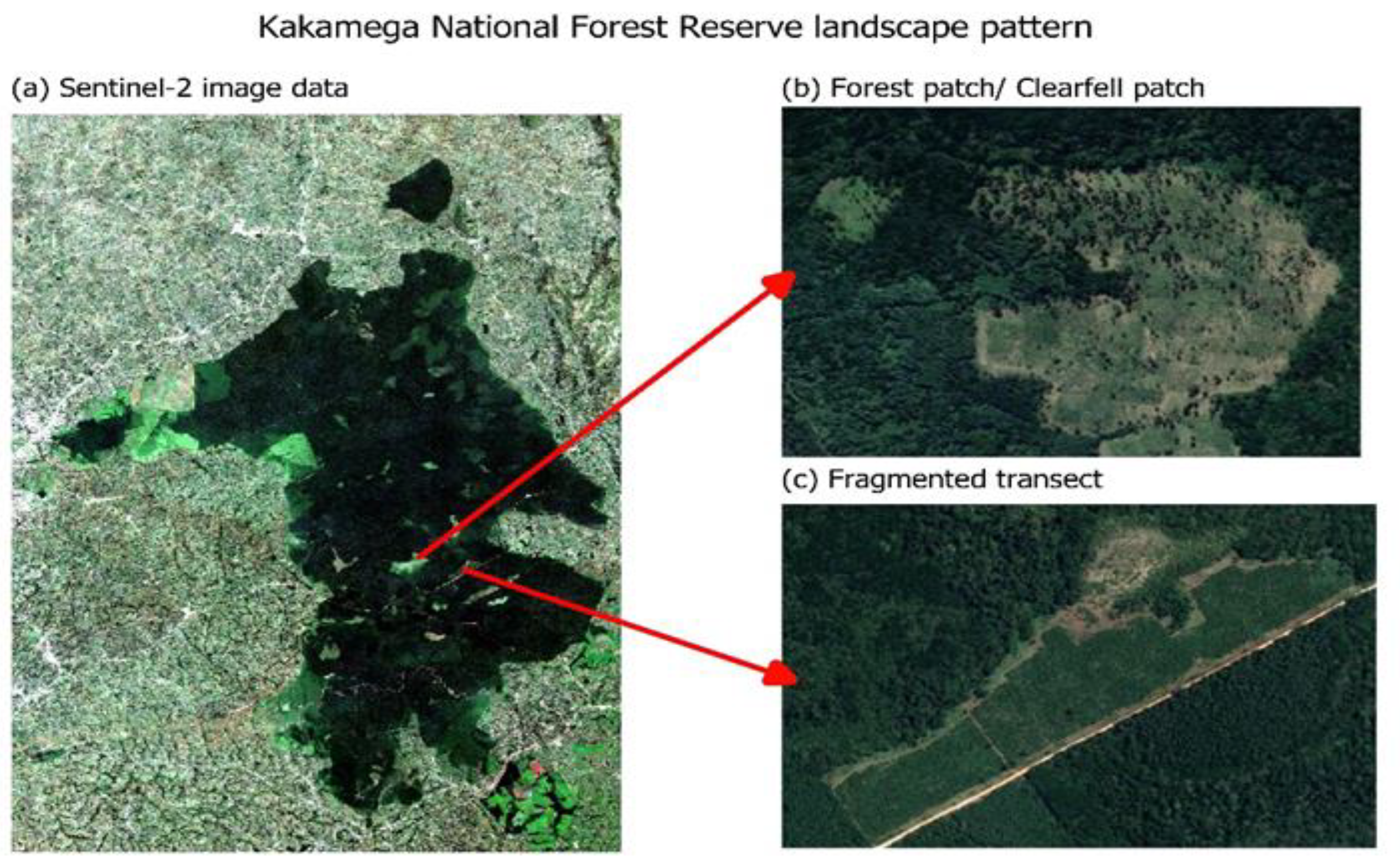 Forests 13 02127 g003