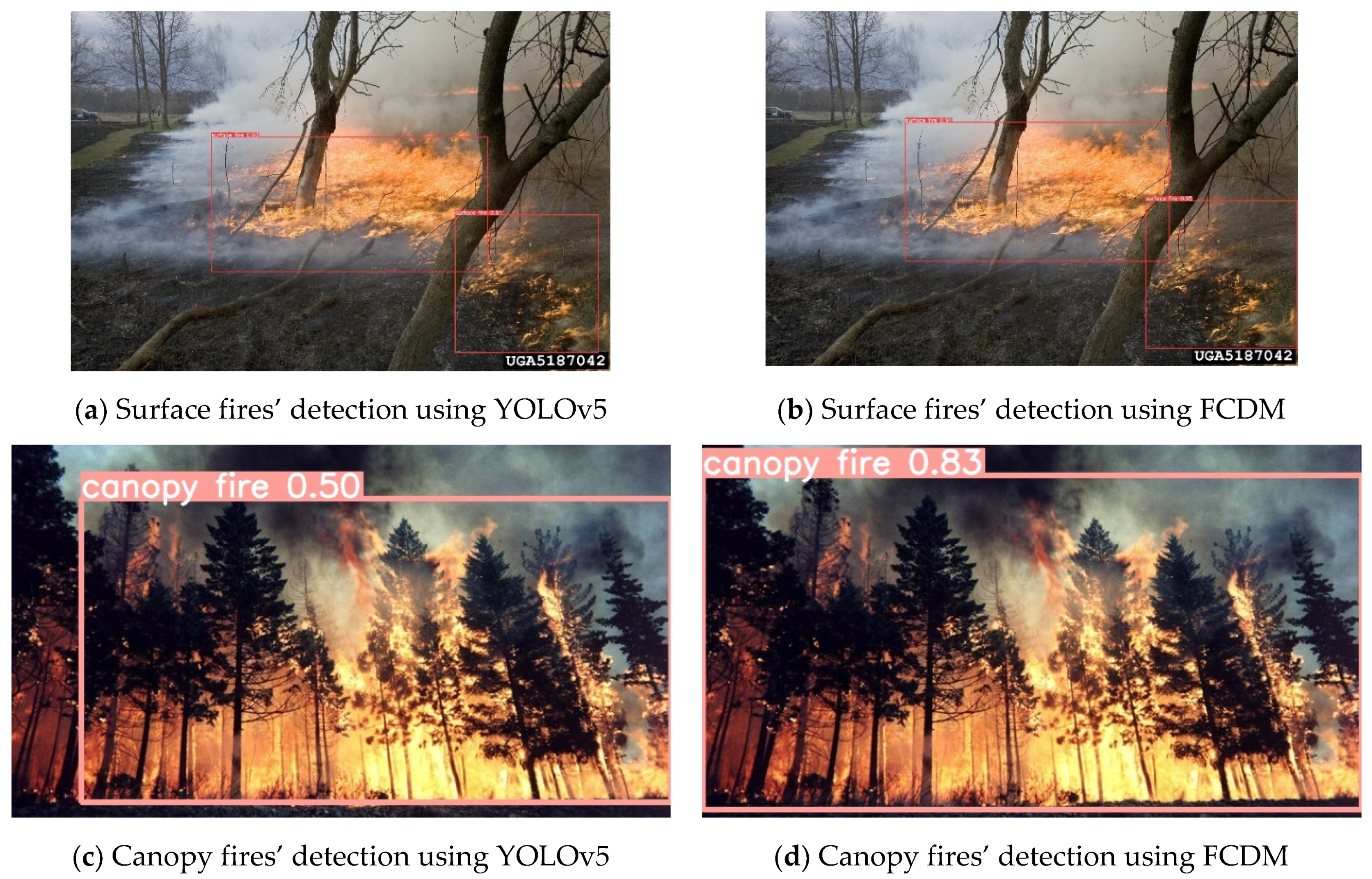Forests 13 02129 g011