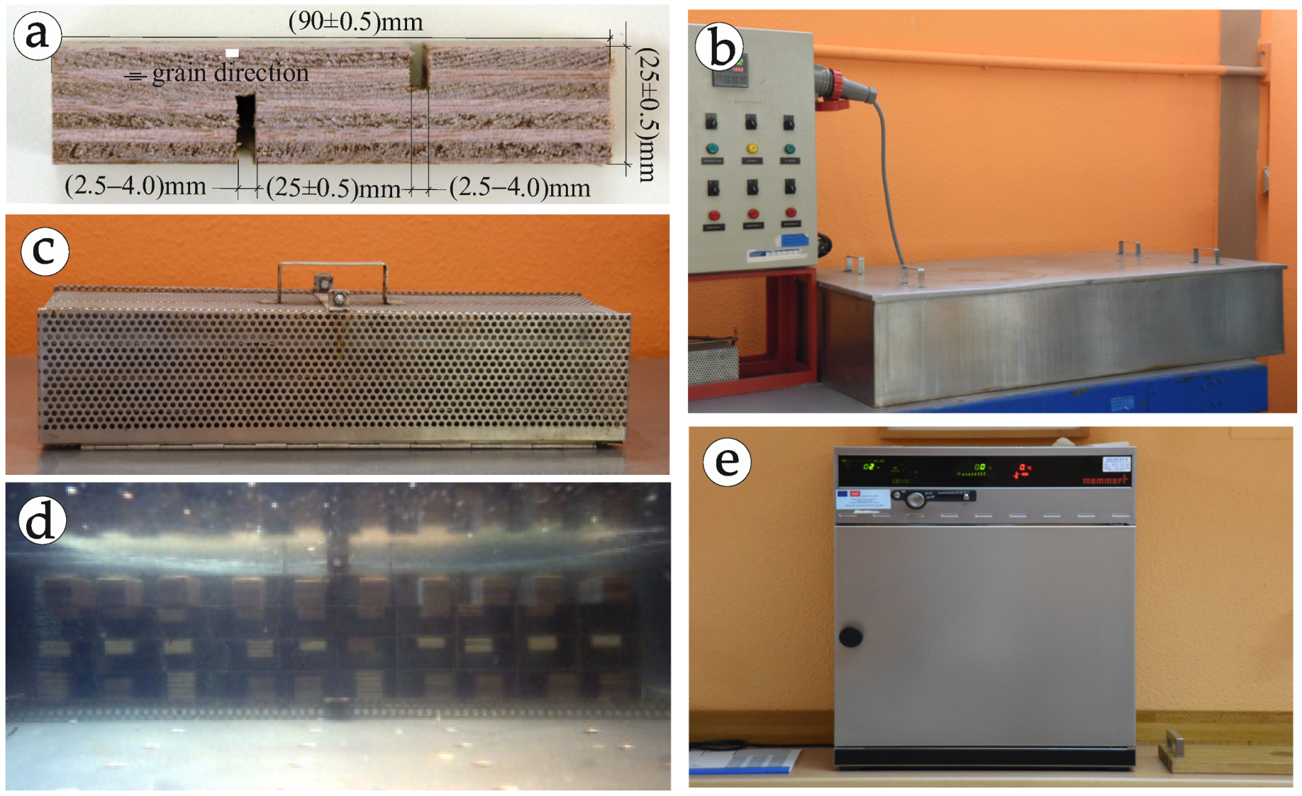 Forests 13 02135 g001