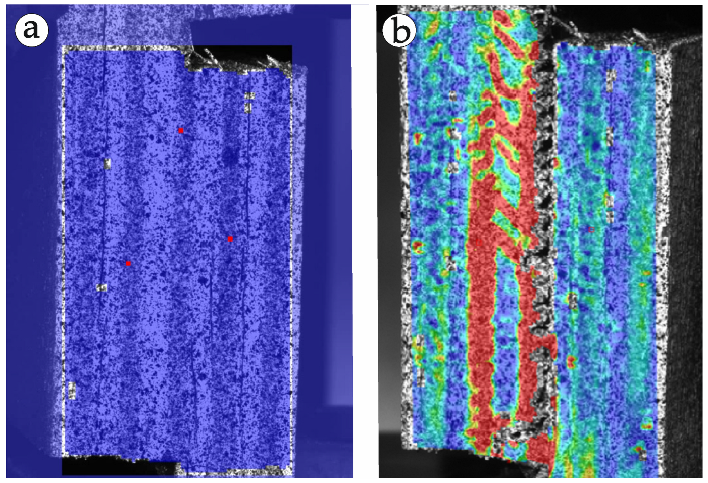Forests 13 02135 g010
