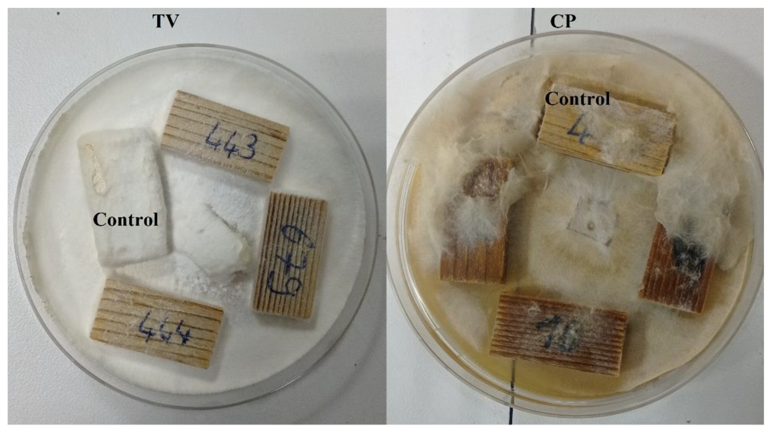 Forests 13 02137 g007