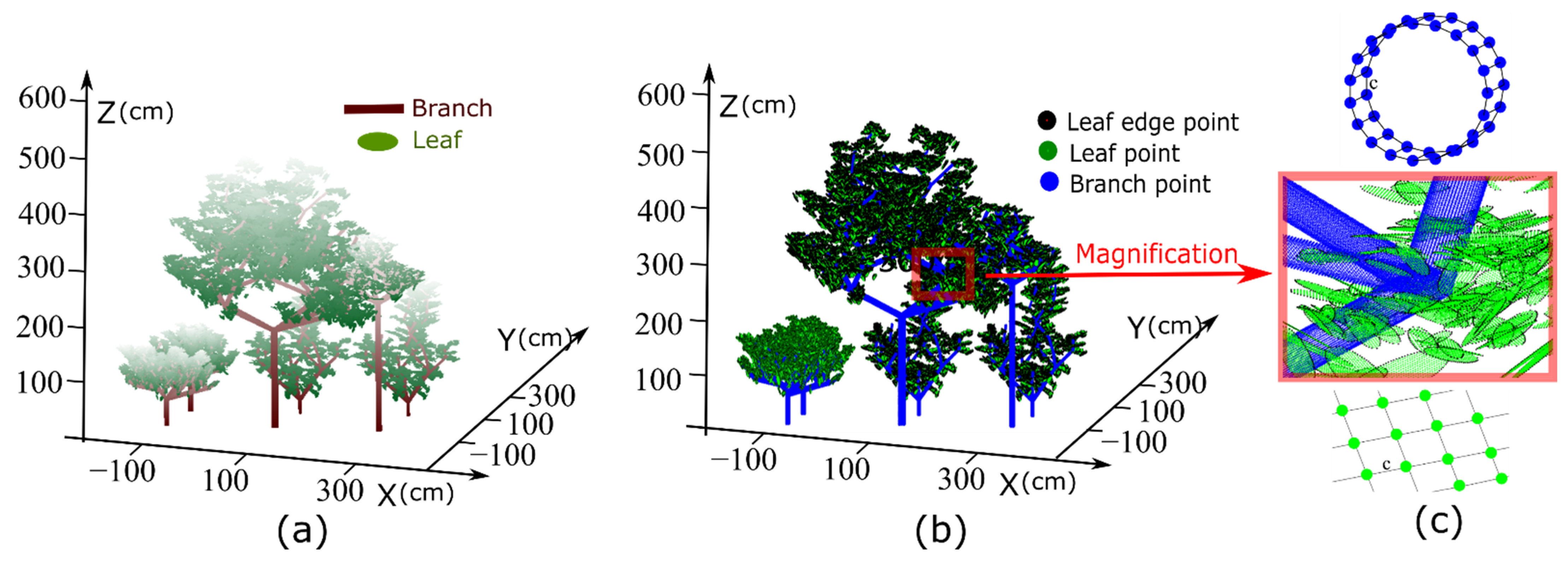 Forests 13 02139 g002 Forests 13 02139 g002