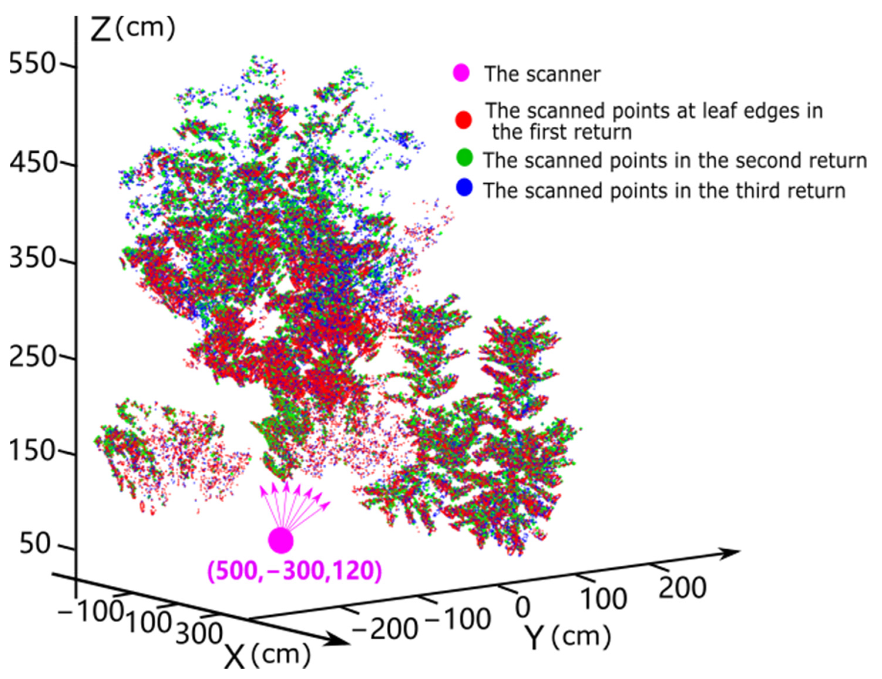Forests 13 02139 g003 Forests 13 02139 g003