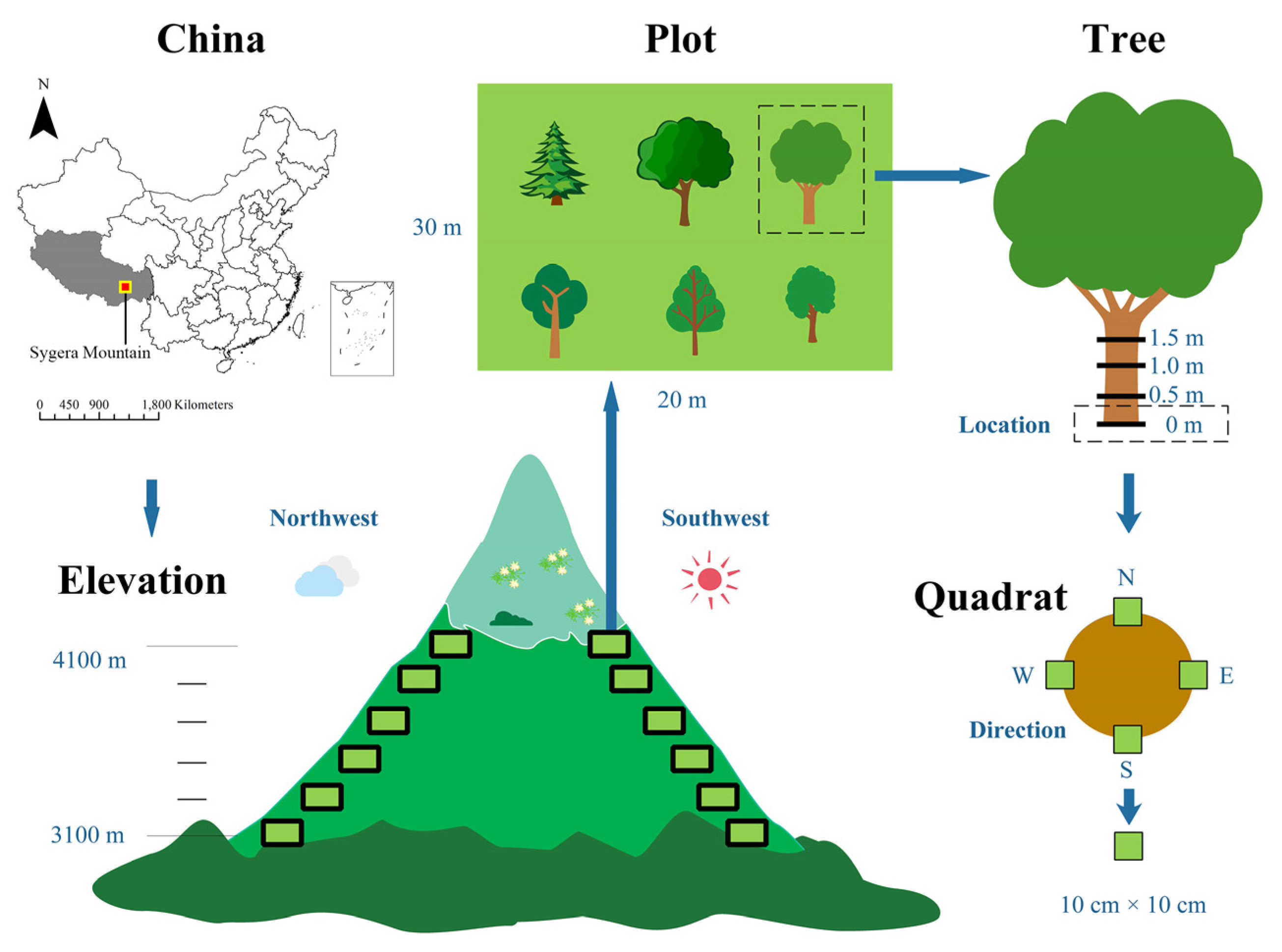 Forests 13 02154 g001