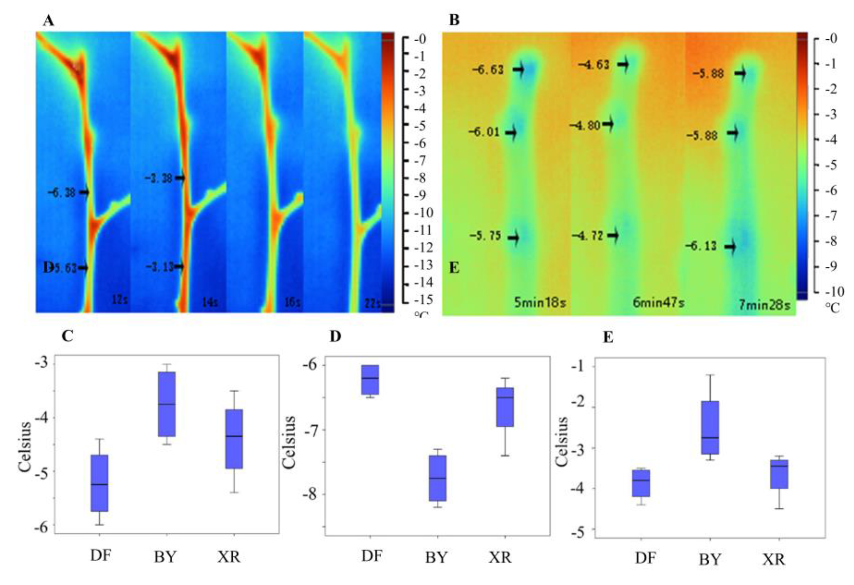 Forests 13 02163 g001 Forests 13 02163 g001