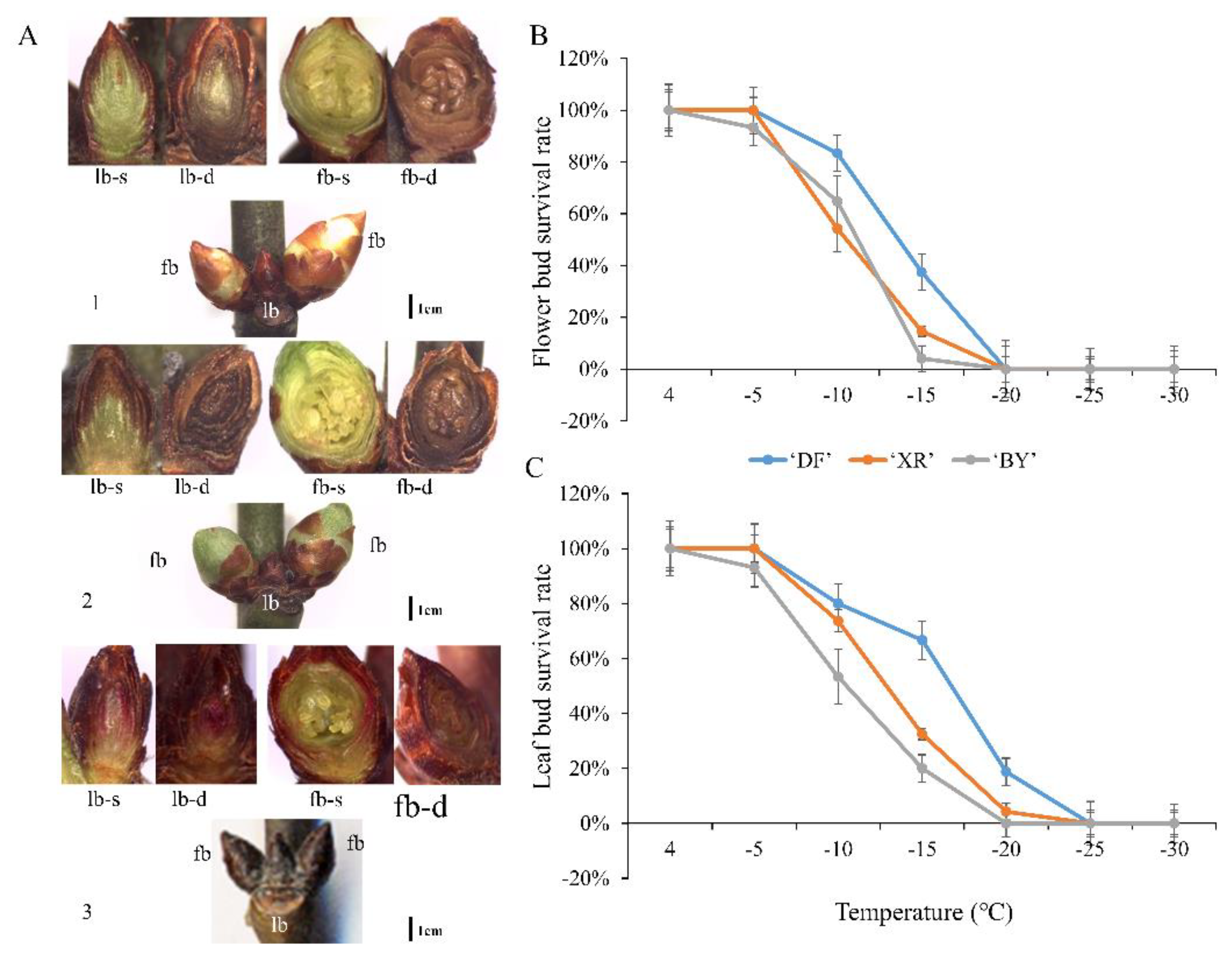 Forests 13 02163 g005 Forests 13 02163 g005