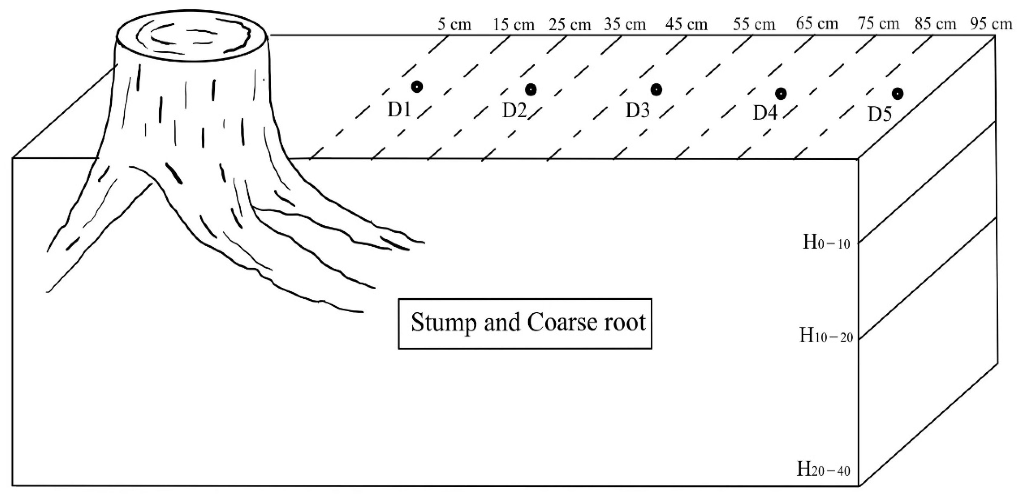 Forests 13 02166 g003