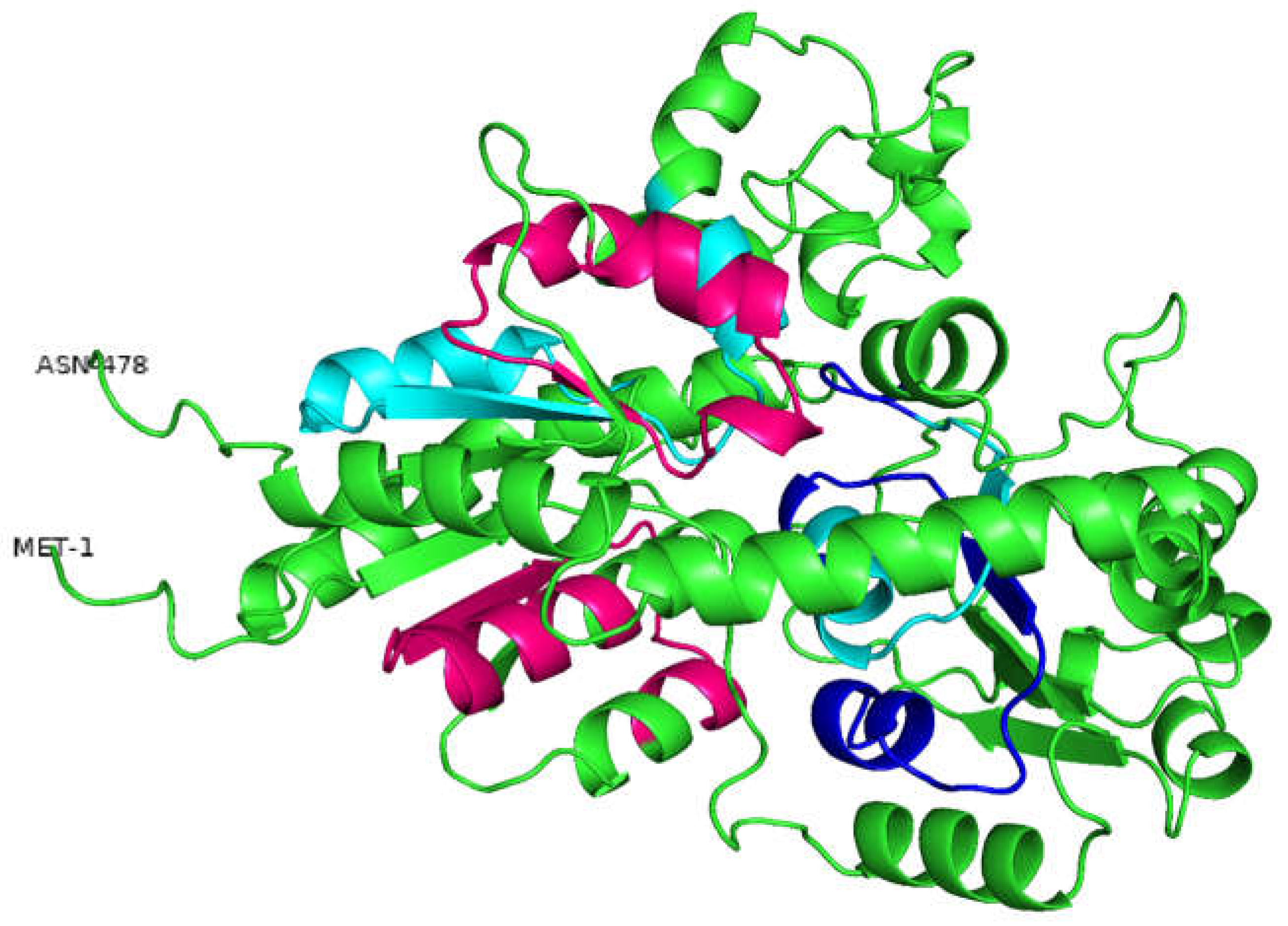 Forests 13 02167 g001