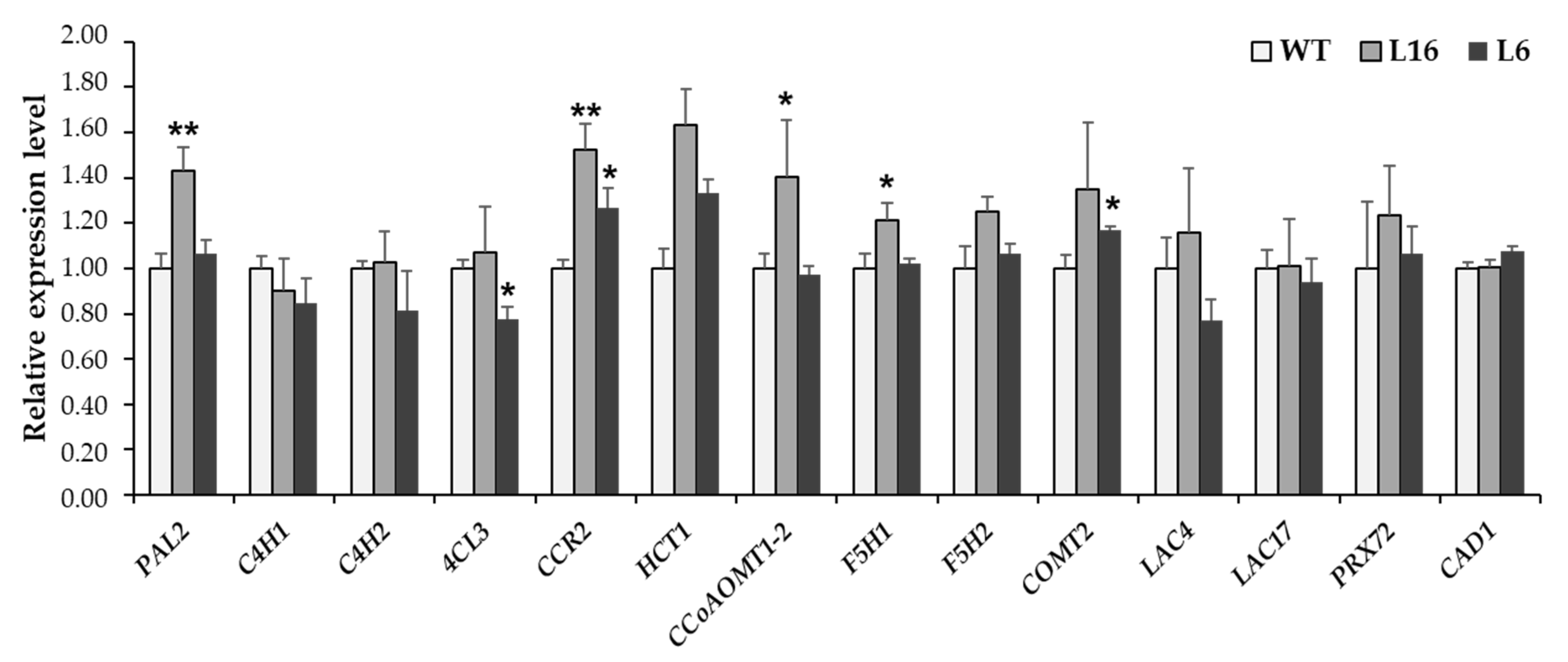 Forests 13 02167 g005