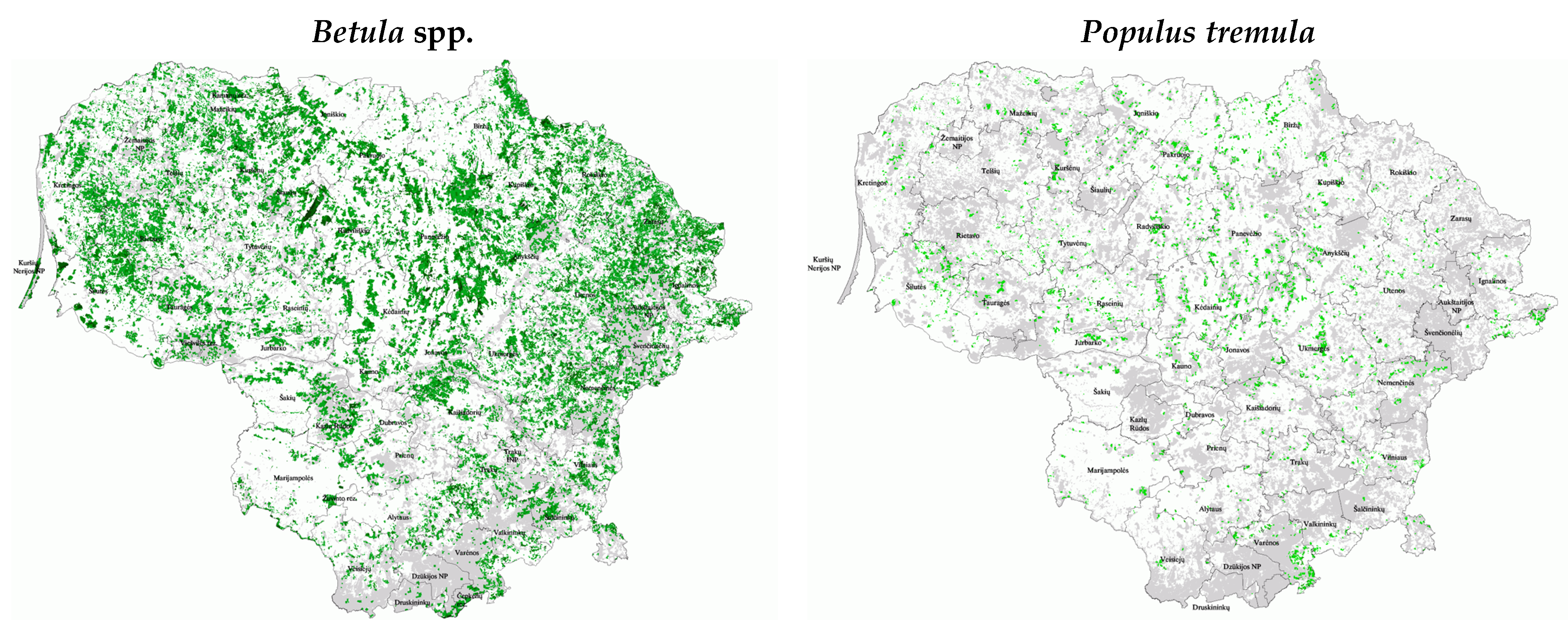 Forests 13 02172 g001