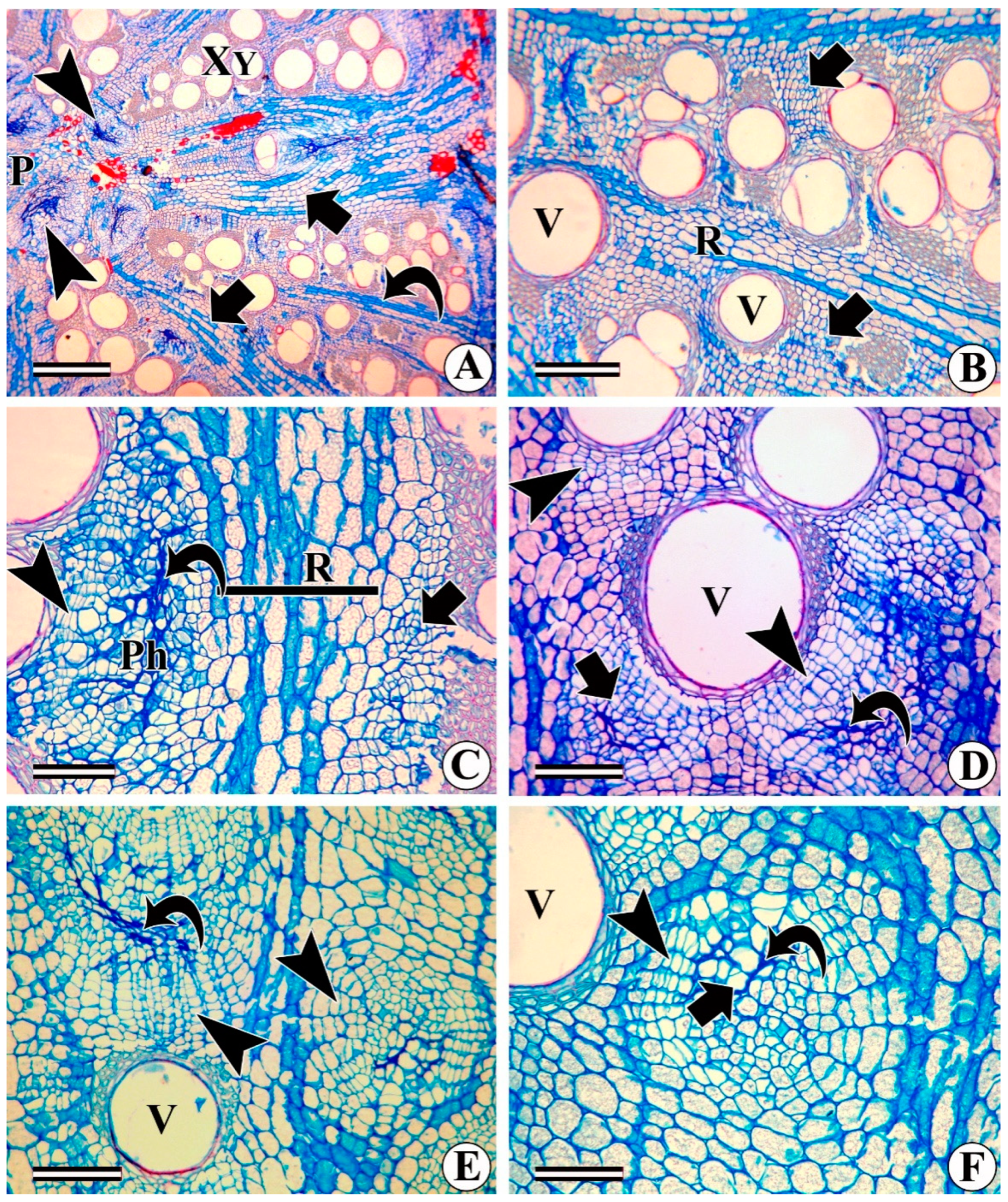 Forests 13 02174 g005