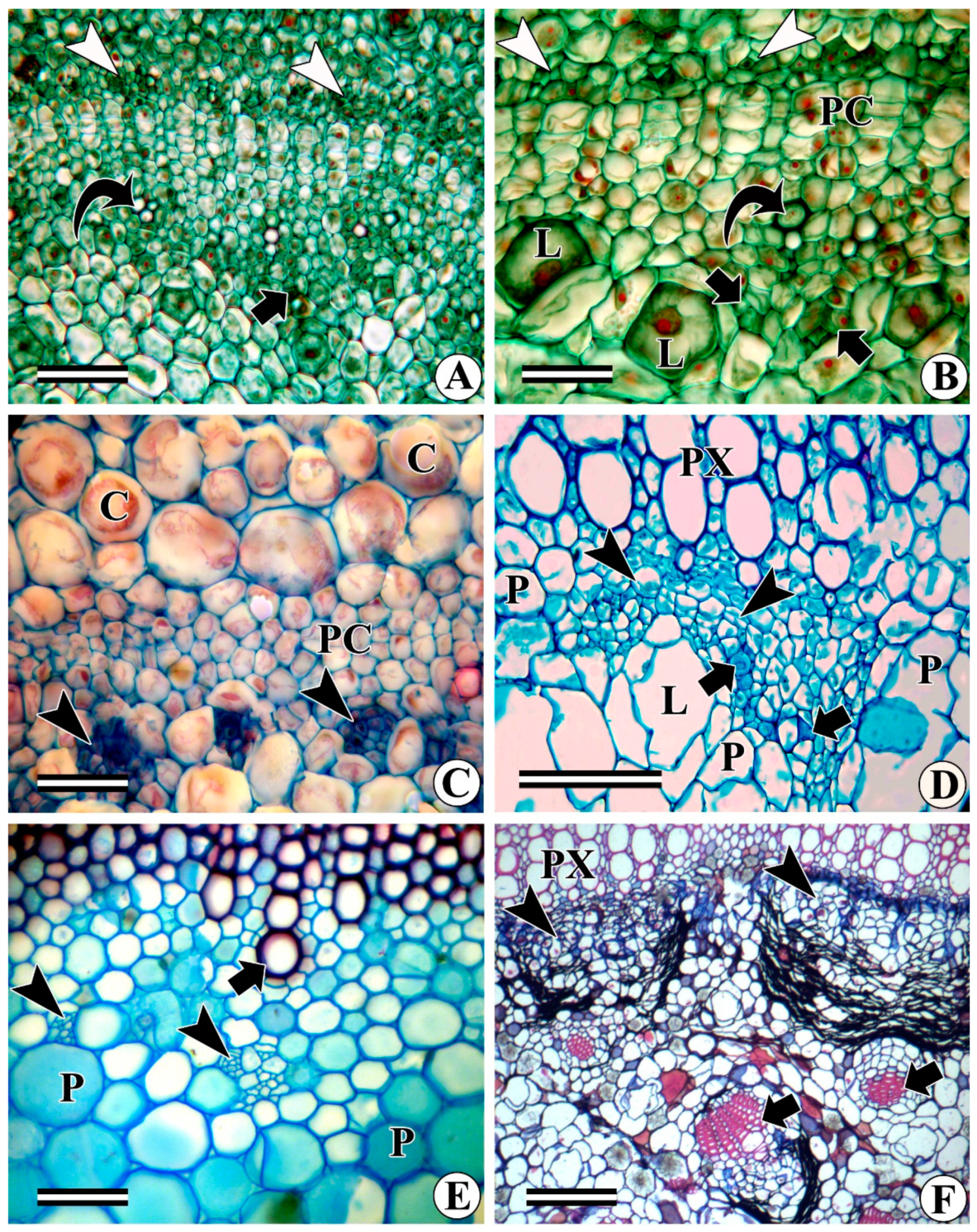 Forests 13 02174 g008