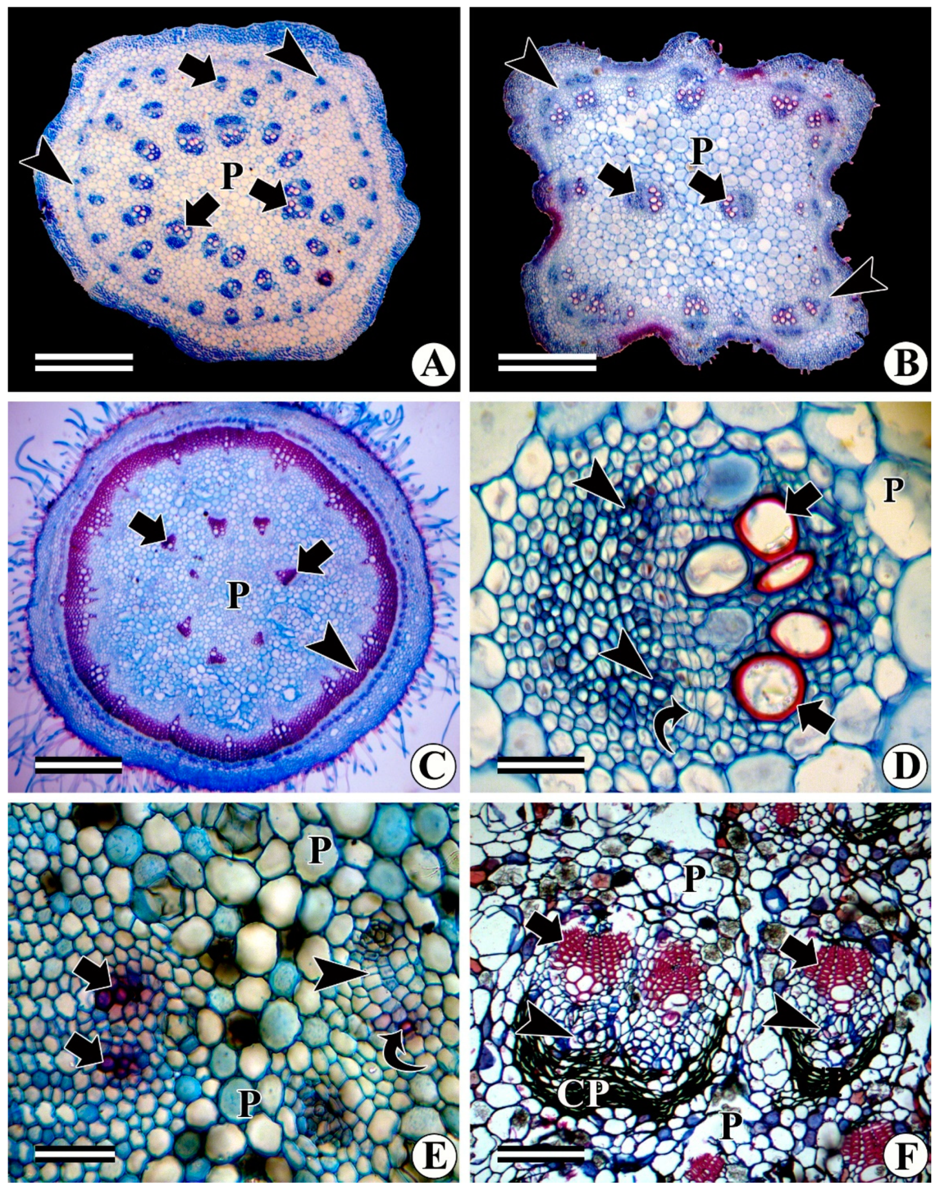 Forests 13 02174 g013
