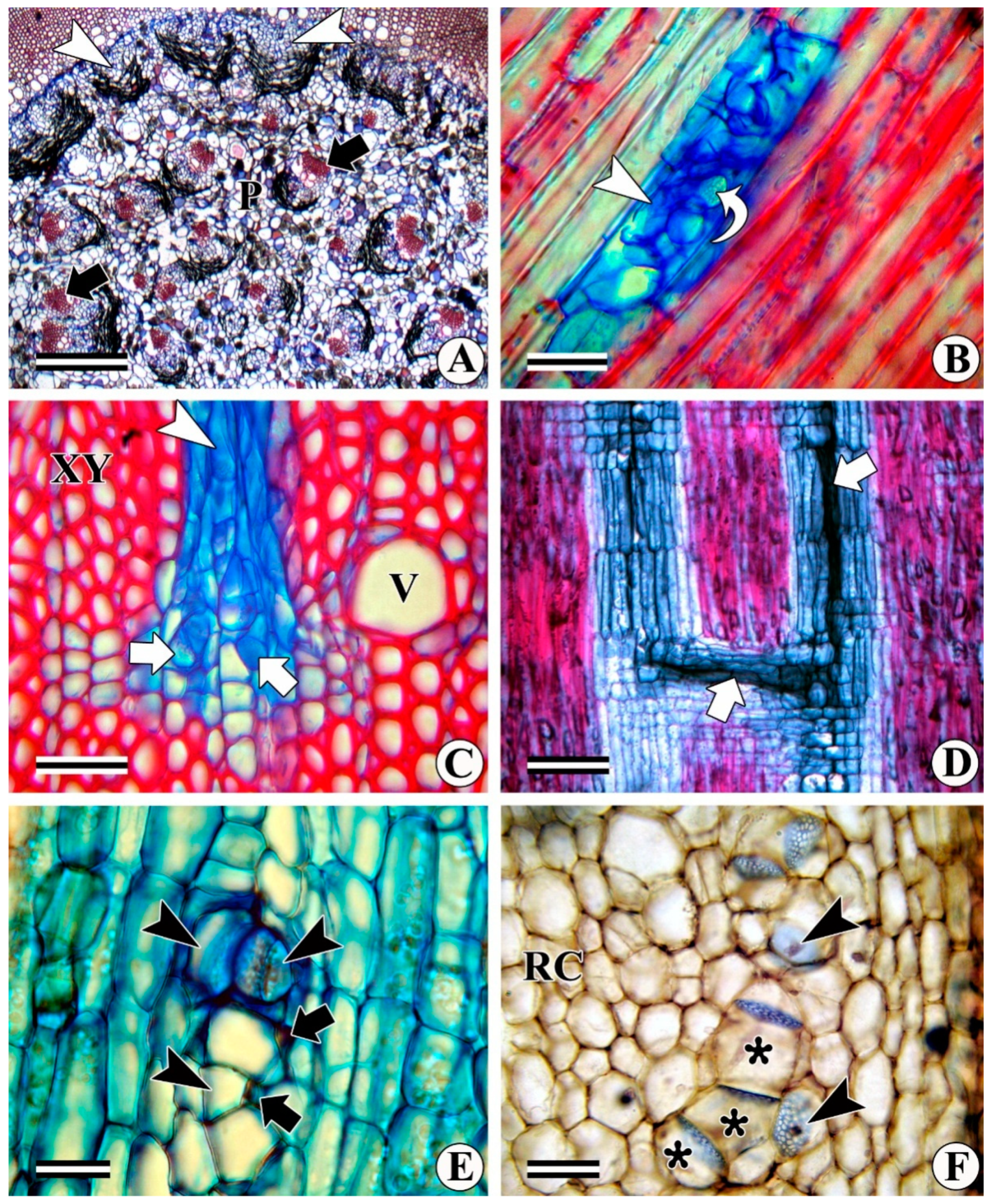 Forests 13 02174 g014