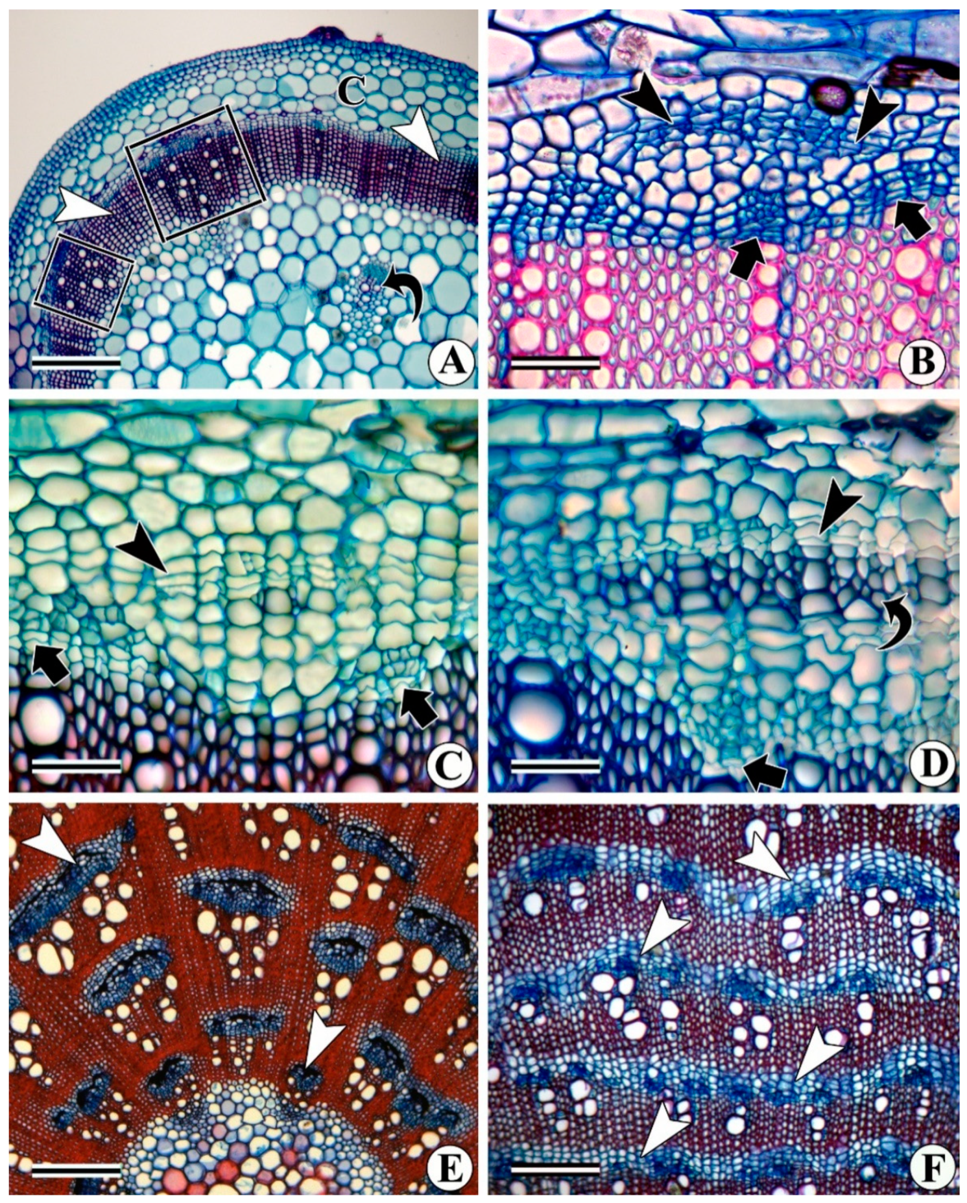 Forests 13 02174 g018