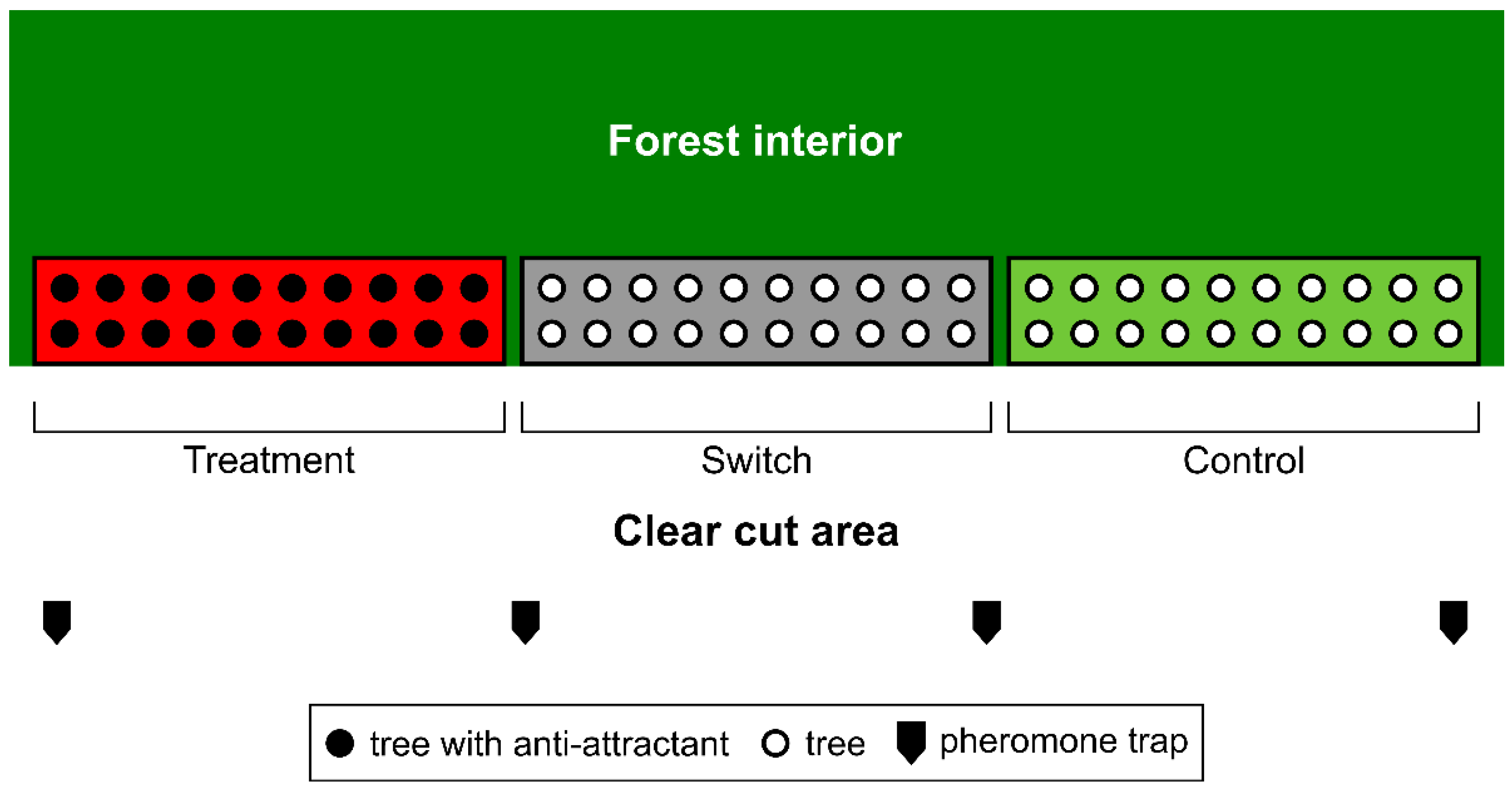 Forests 13 02175 g001