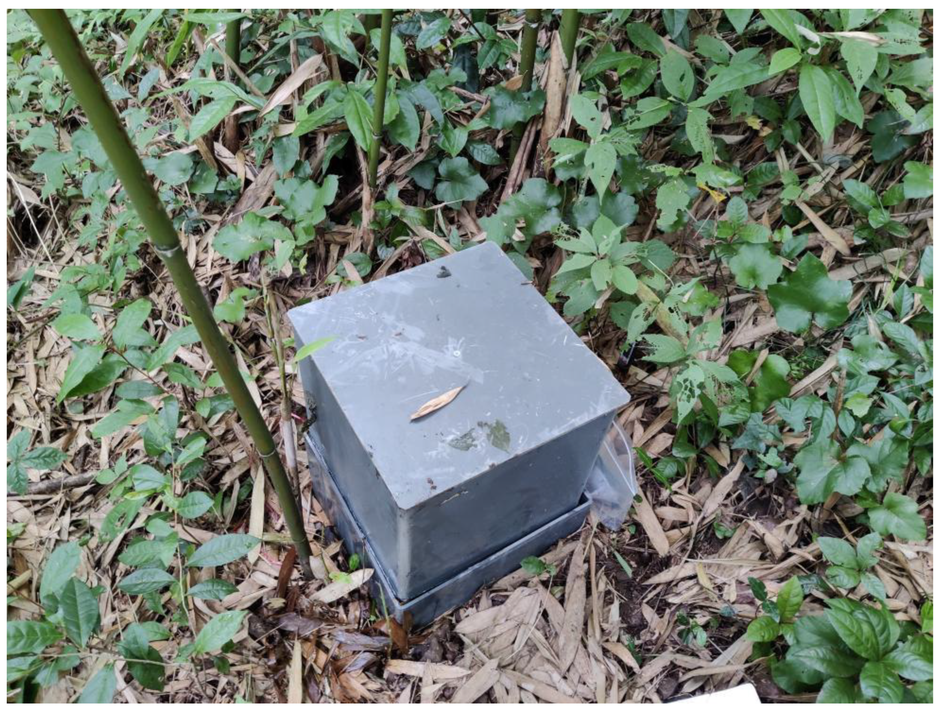 Forests 13 02181 g002 Forests 13 02181 g002