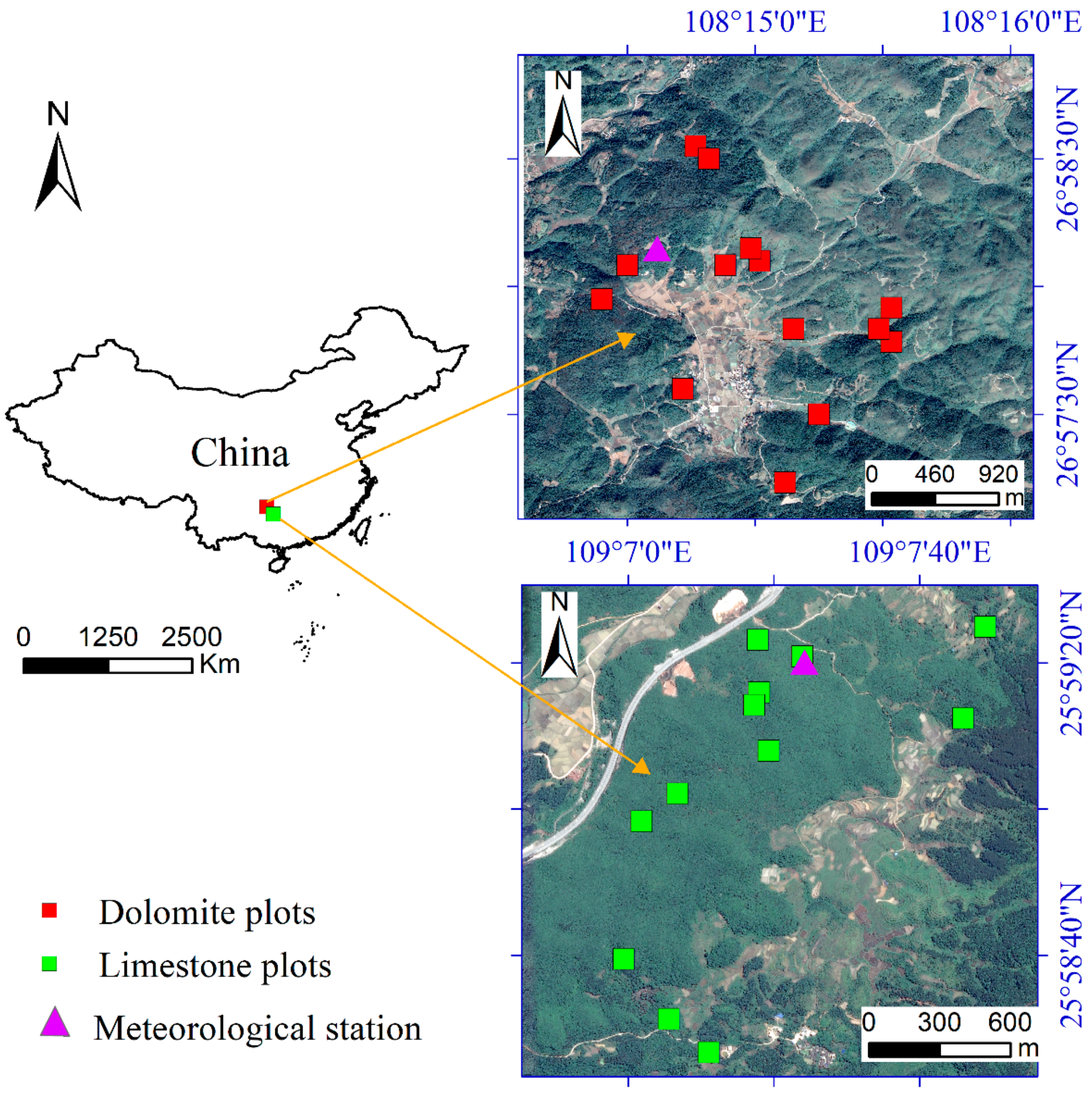 Forests 13 02187 g001