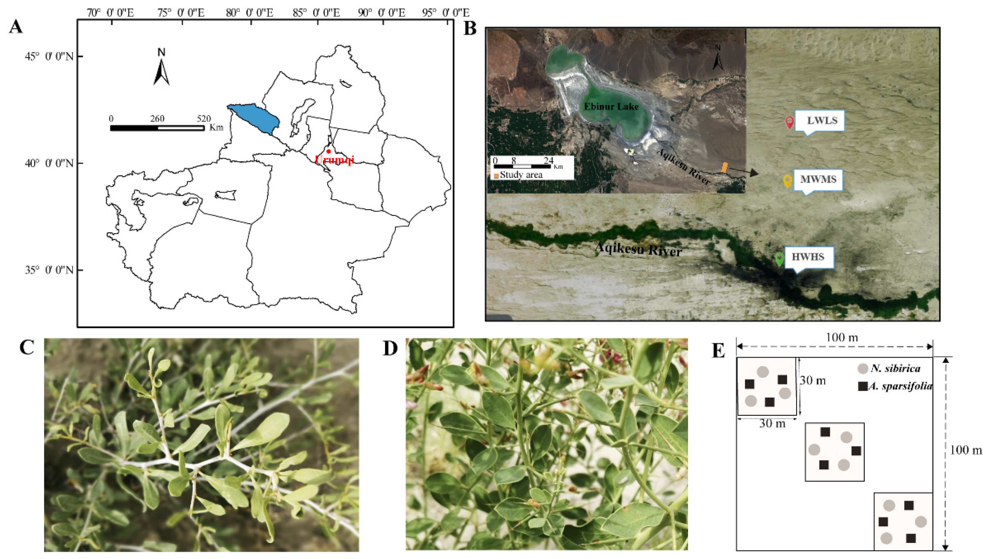 Forests 13 02189 g001