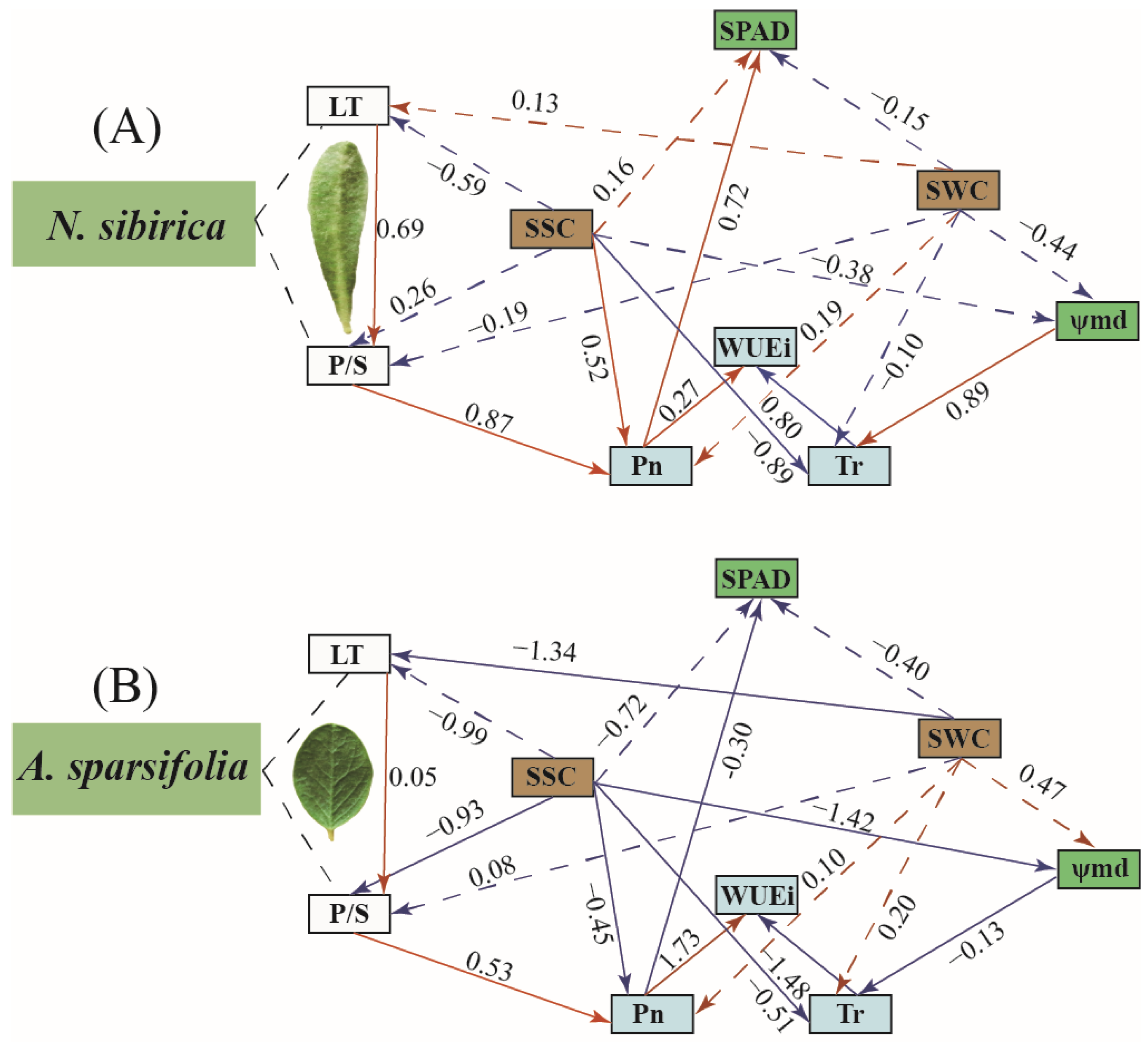 Forests 13 02189 g006