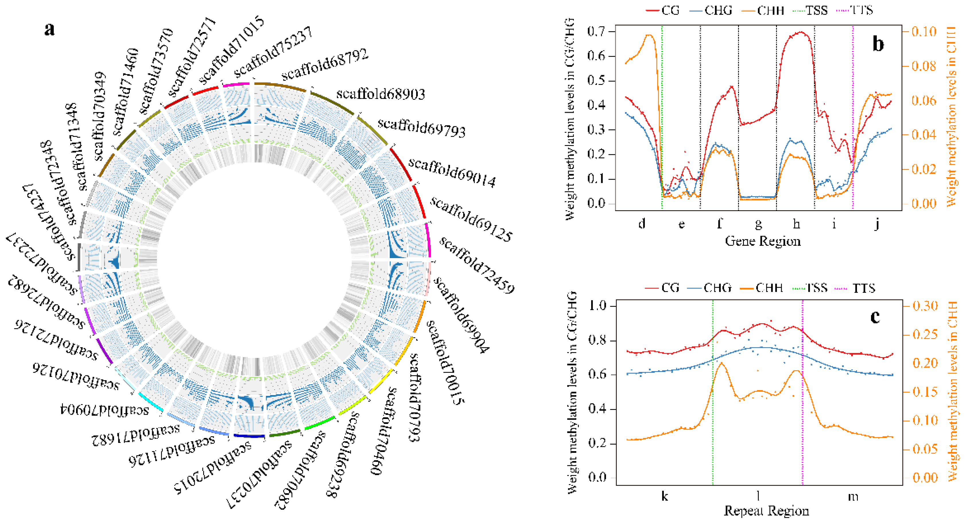 Forests 14 00004 g004 Forests 14 00004 g004