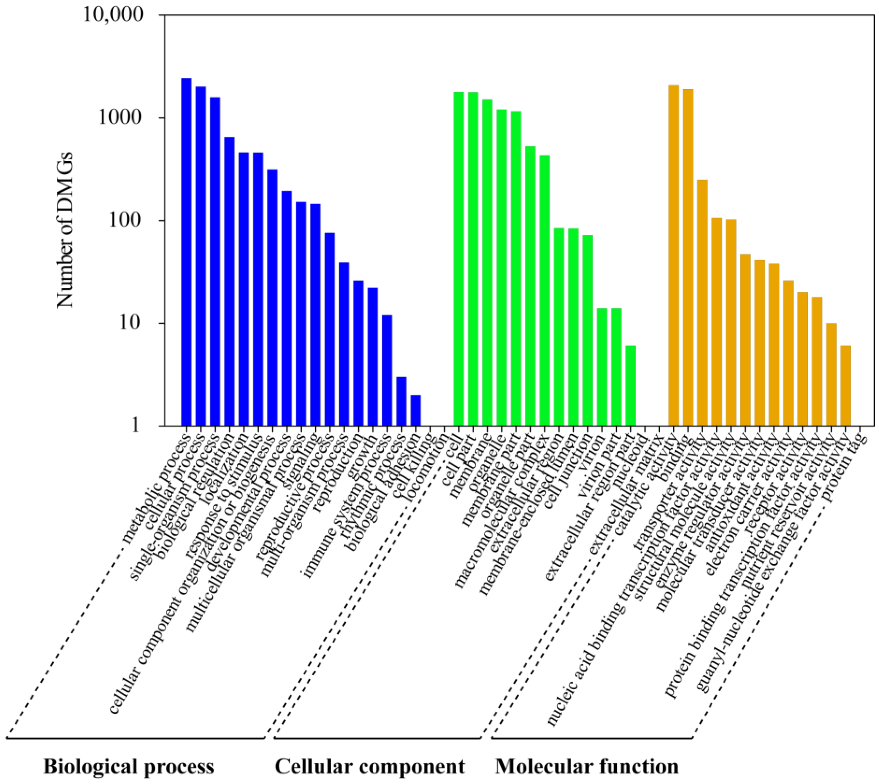 Forests 14 00004 g007 Forests 14 00004 g007