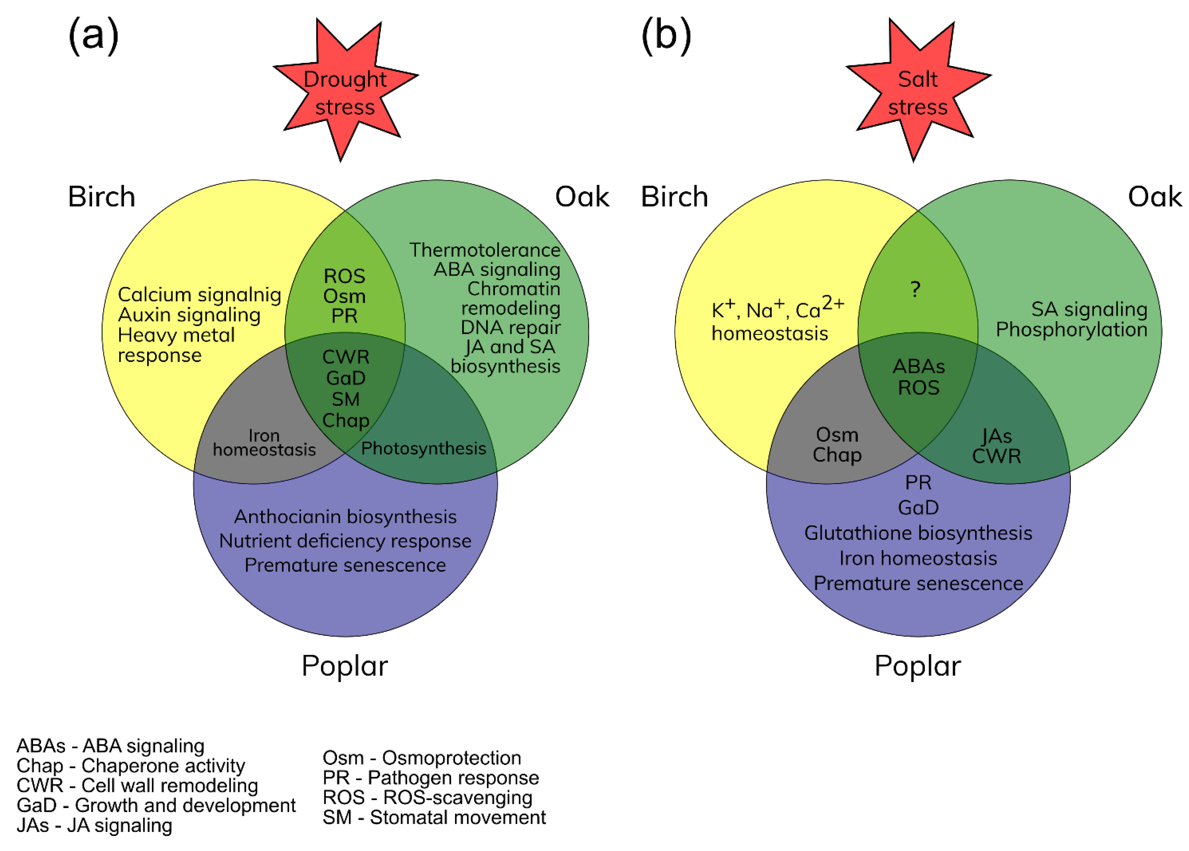 Forests 14 00007 g001 Forests 14 00007 g001